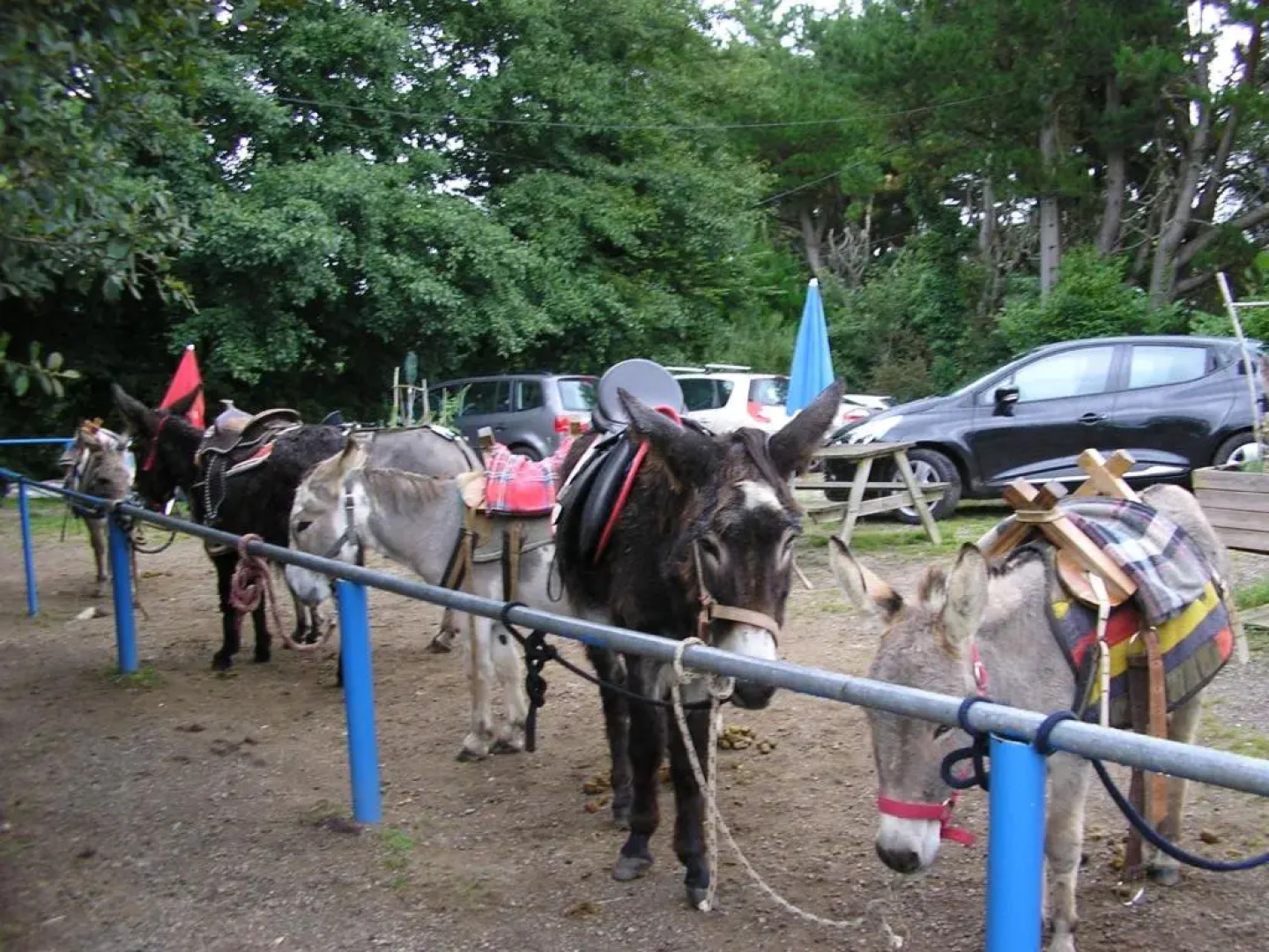 Les chambres de Kerael
