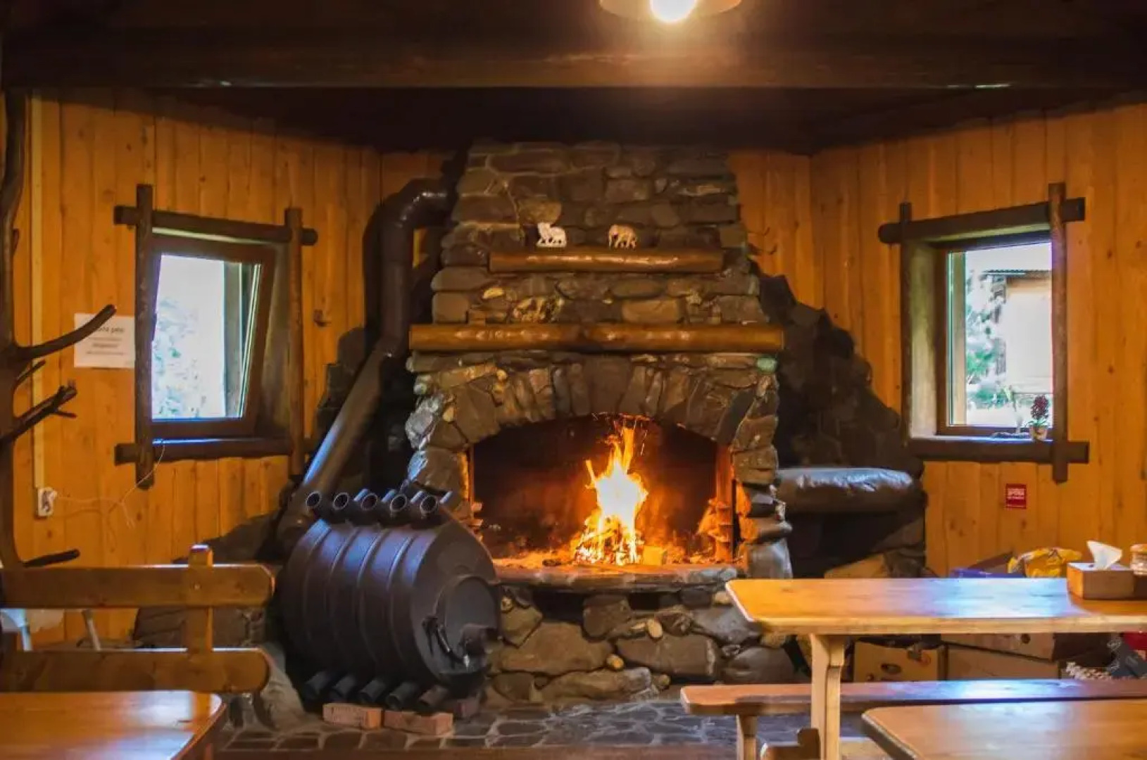 Кемп Белый Слон