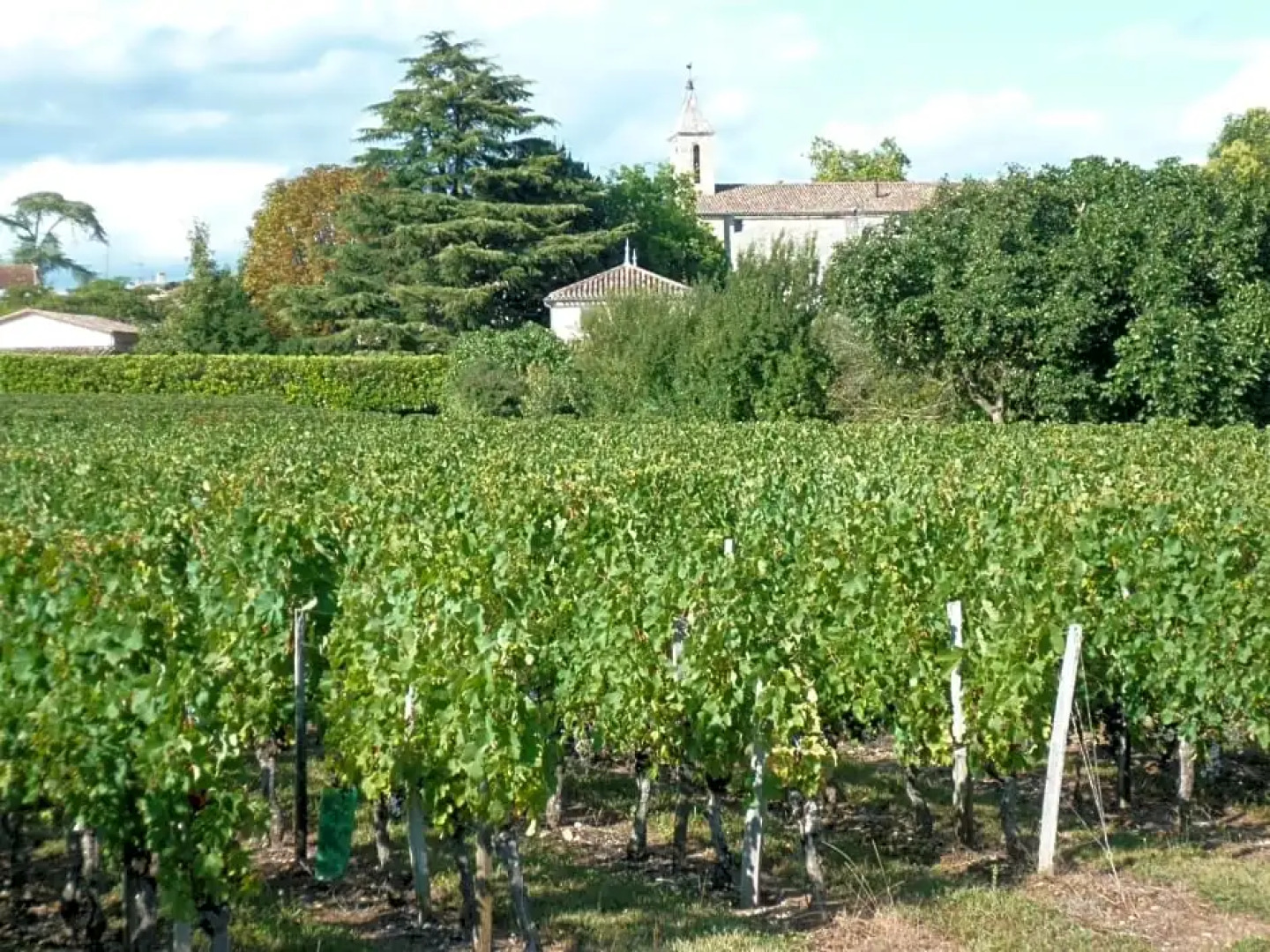 Les Raisins du Bonheur