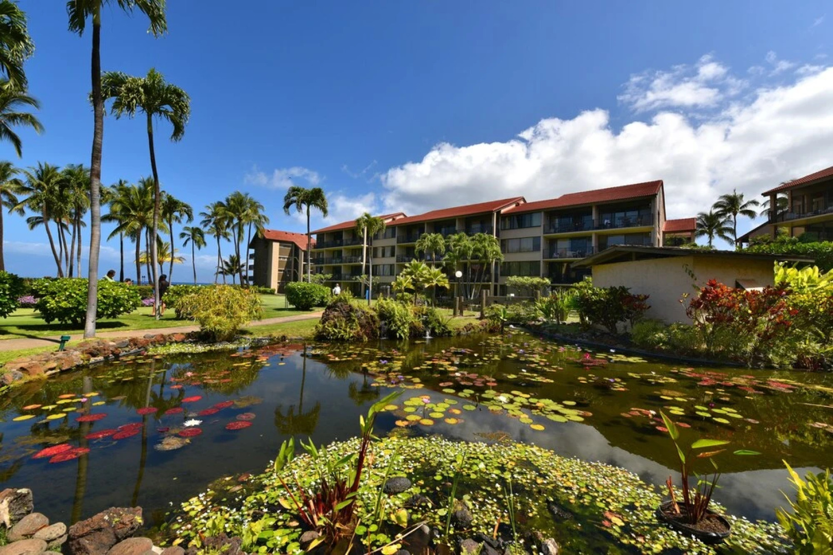 Papakea G301 by RedAwning