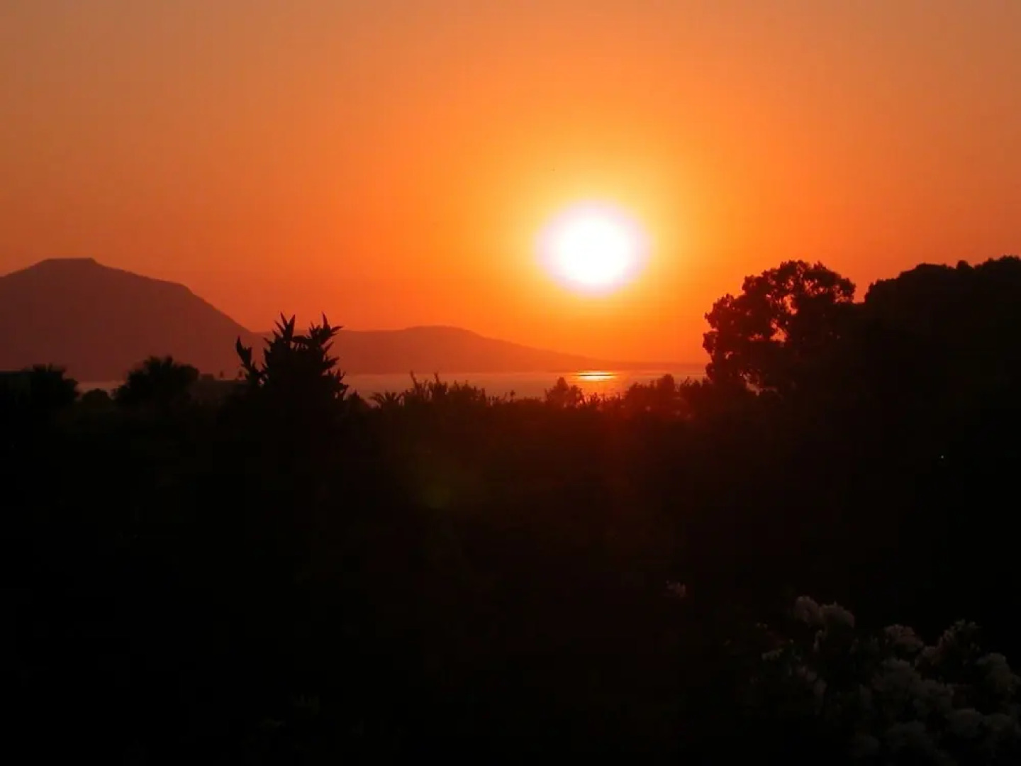 Bougainvillea Apartments