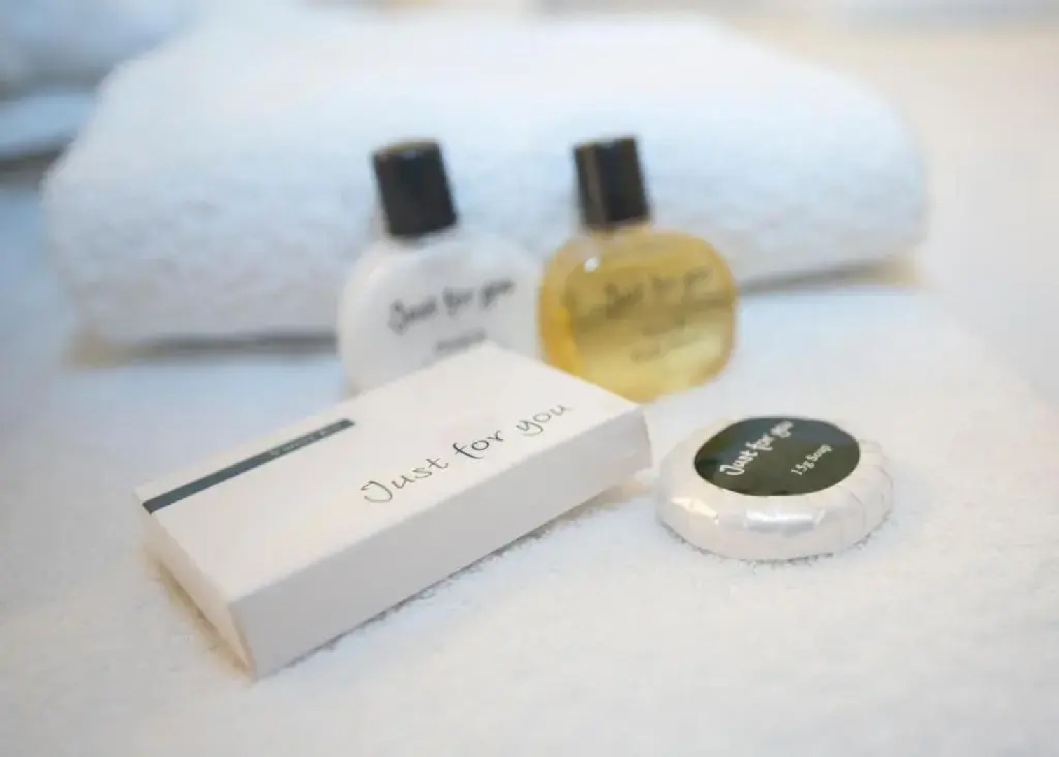 SportsPark Blaavandshuk Golfcenter, Ho