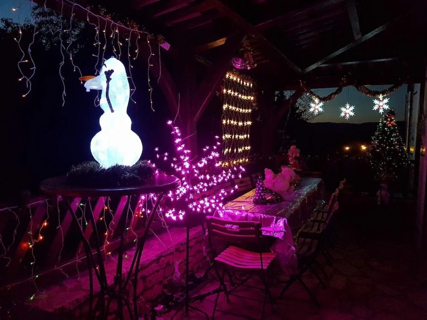 Le Lys de Castelnaud