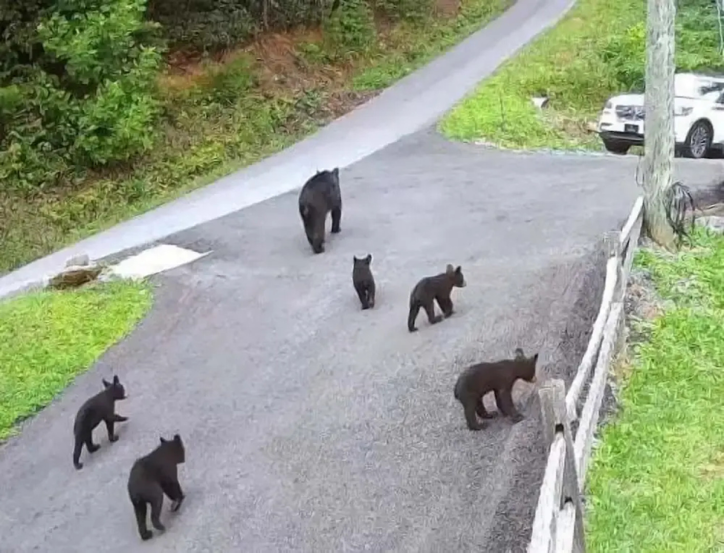 Roundtop Mountain Ridge