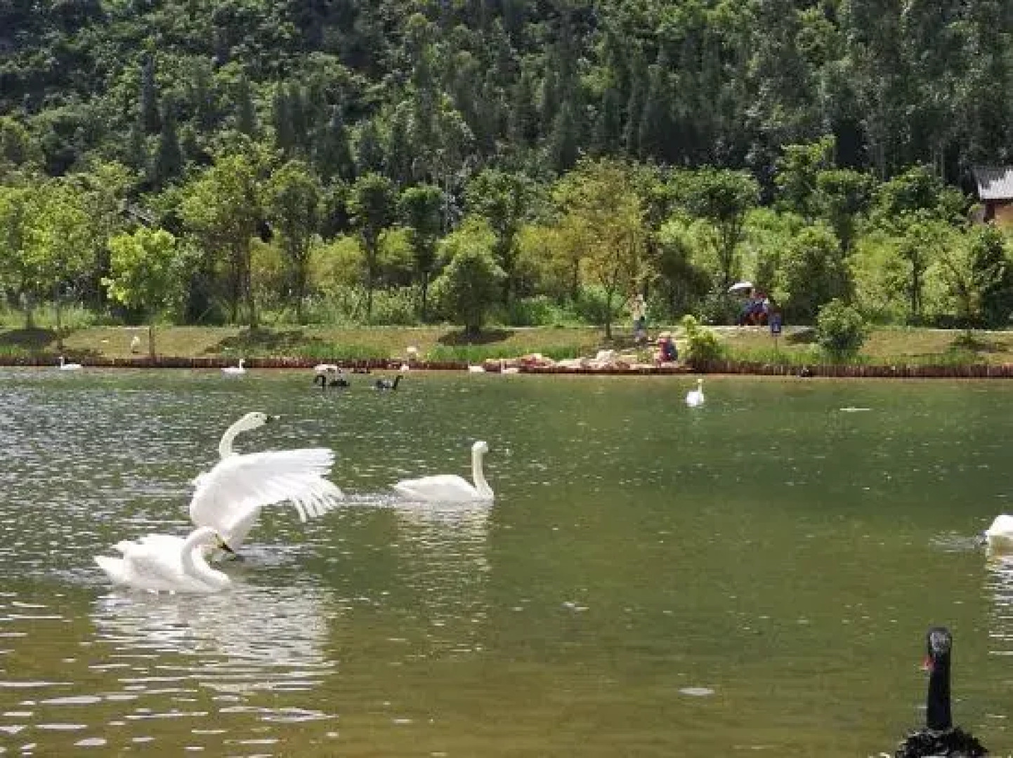 Yuejingyun Lake View Hostel