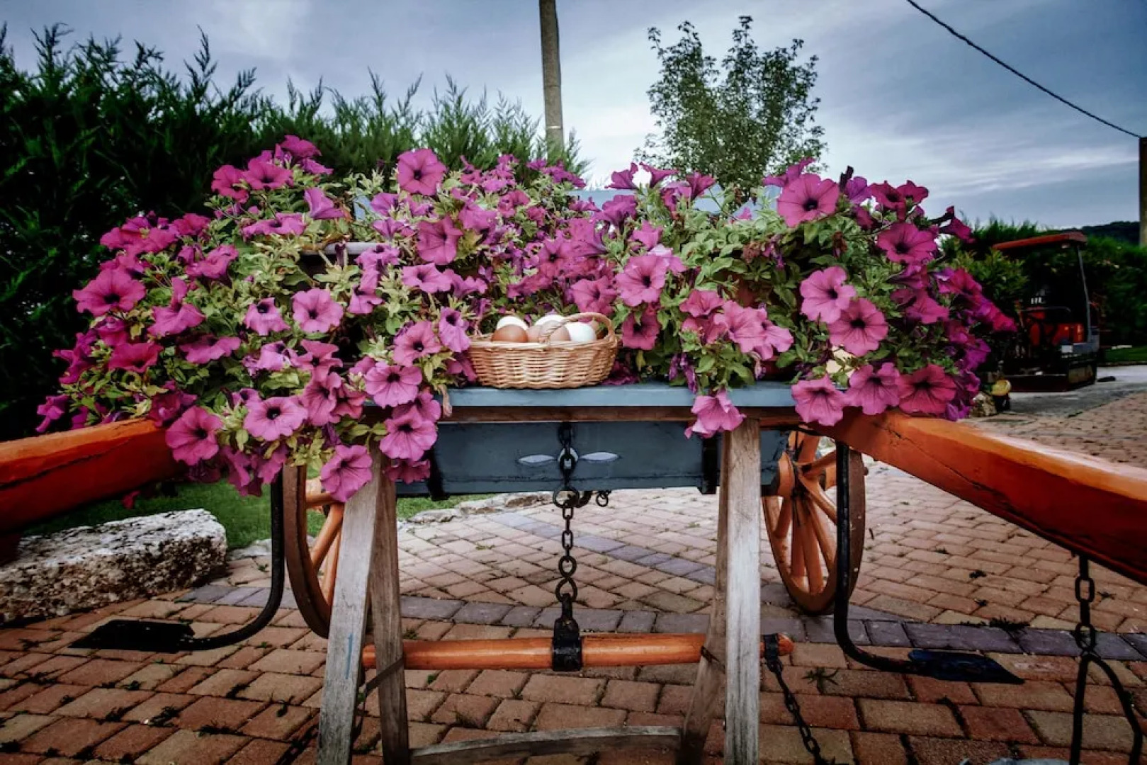 Agriturismo Il Vecchio Pollaio