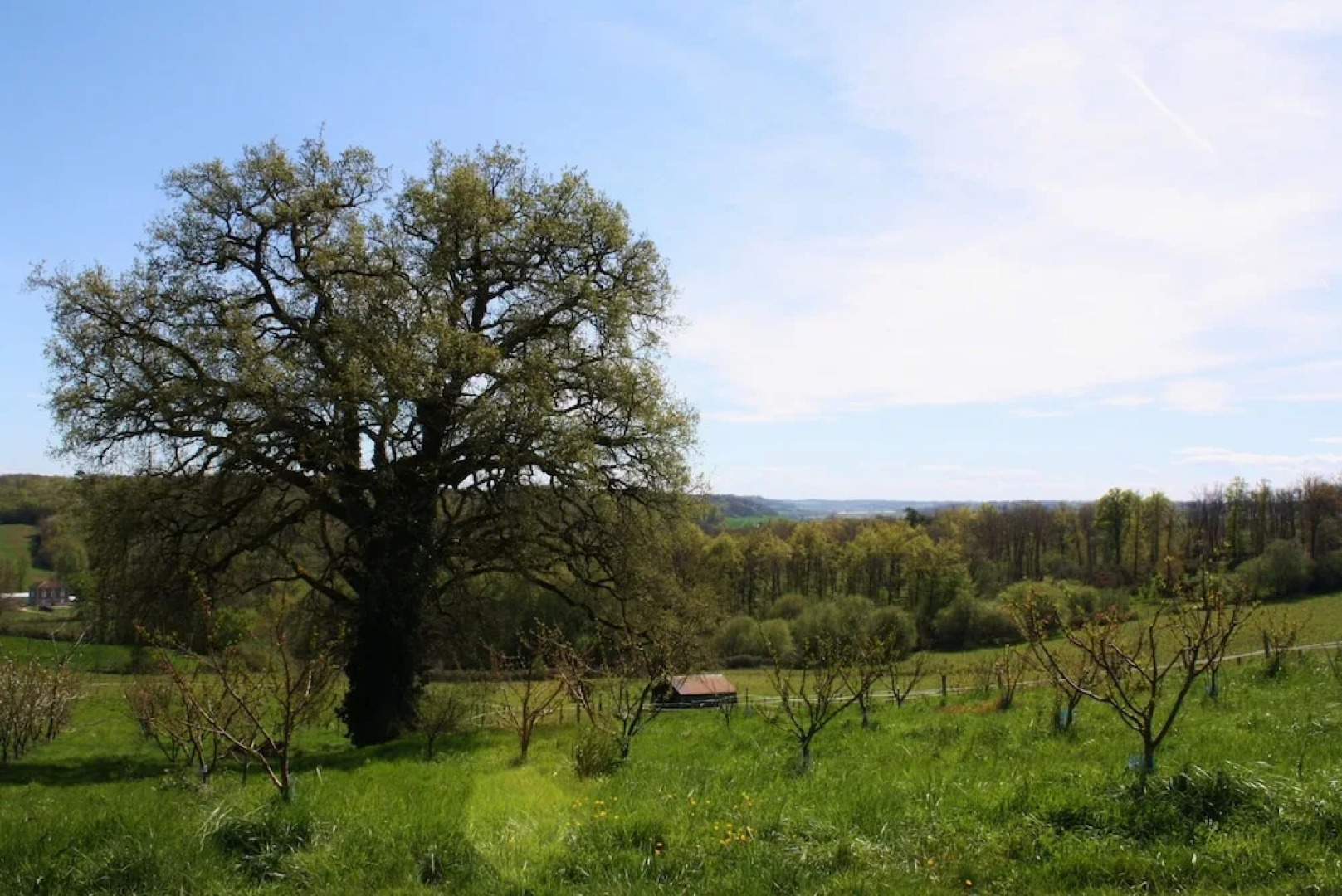 Chambres d'Hôtes Ferme de Berteillé