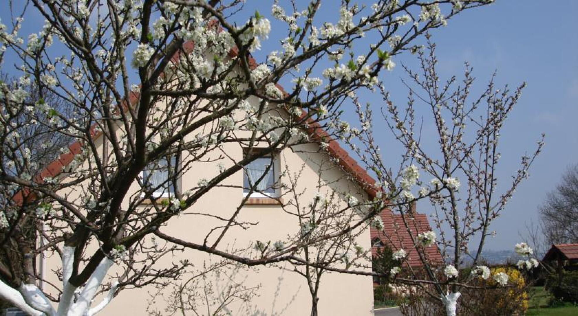 Chambres dHôtes entre Seine et Jardin