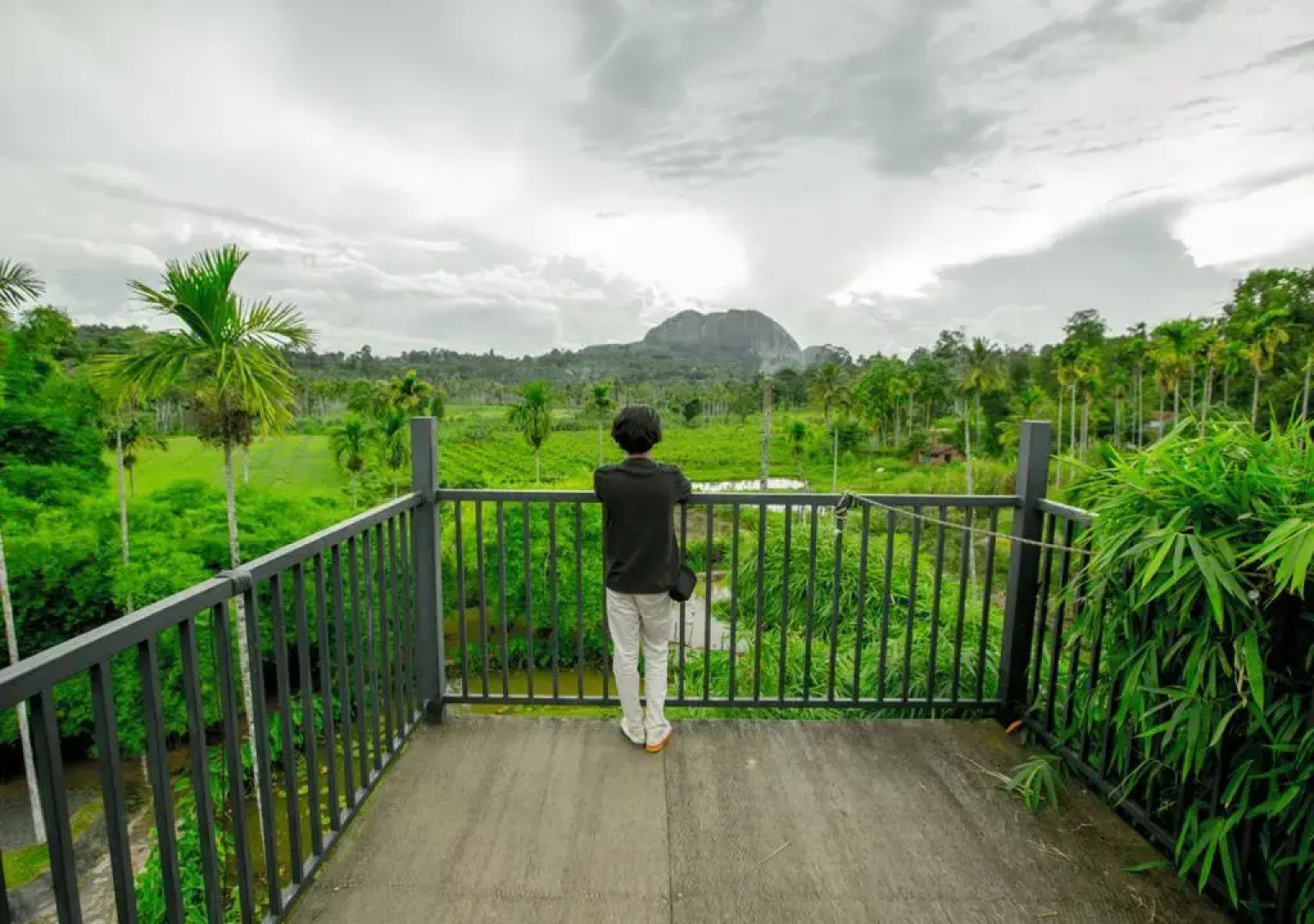 OYO Premium Hill Stays Kolagappara