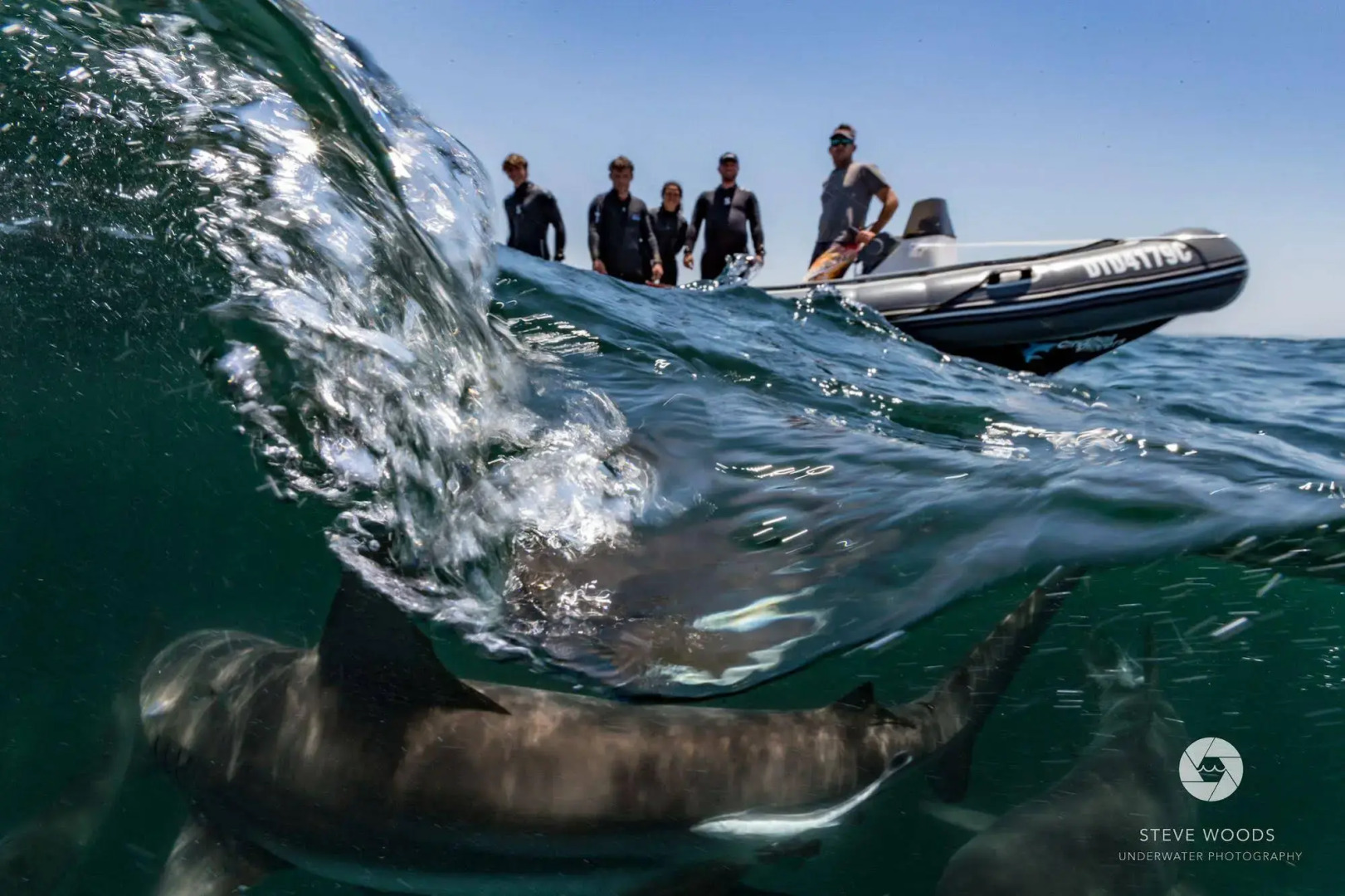 Blue Marlin All-Inclusive Seascape by Dream Resorts