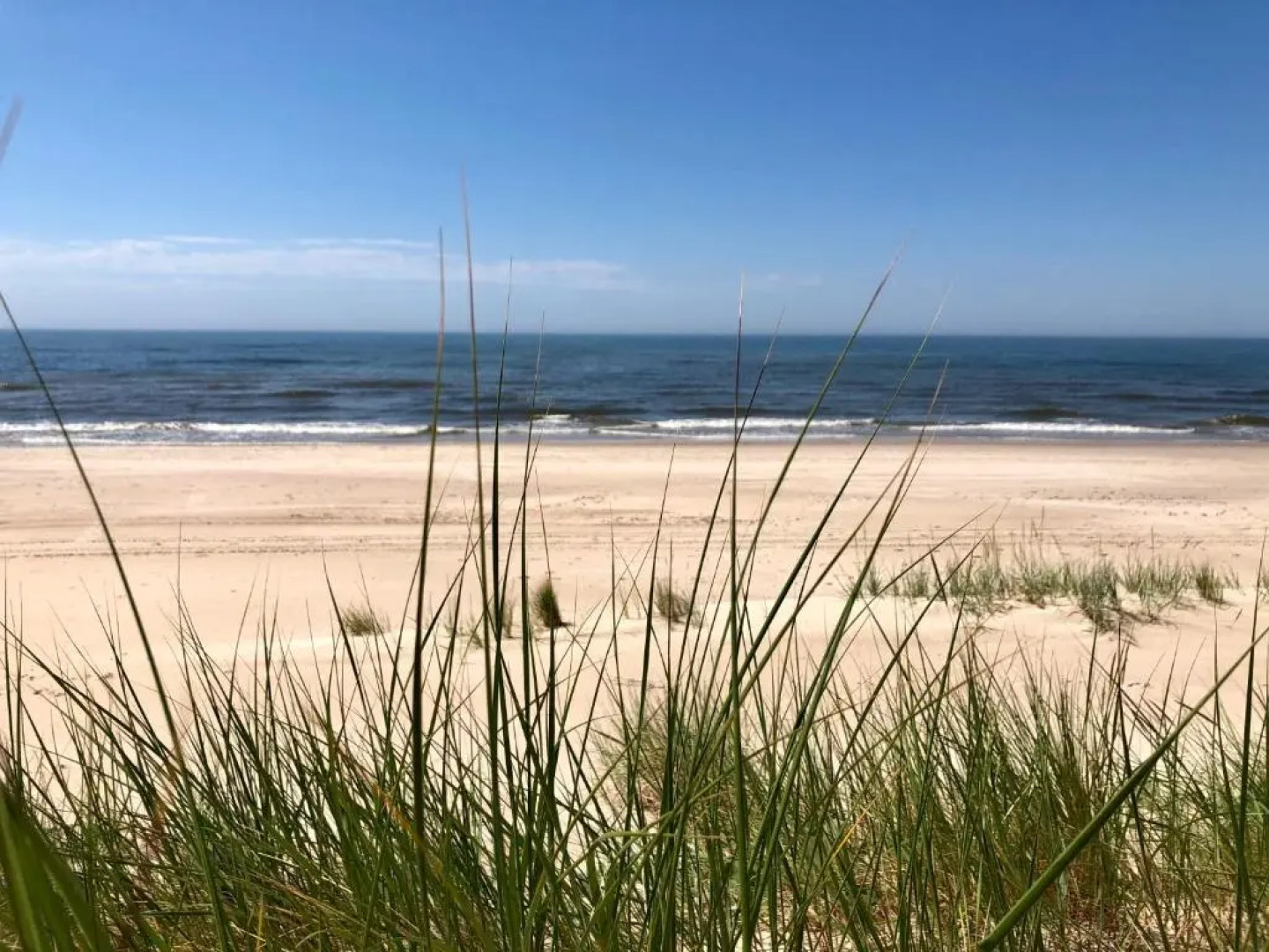 Vilatekila-Lili Apartments