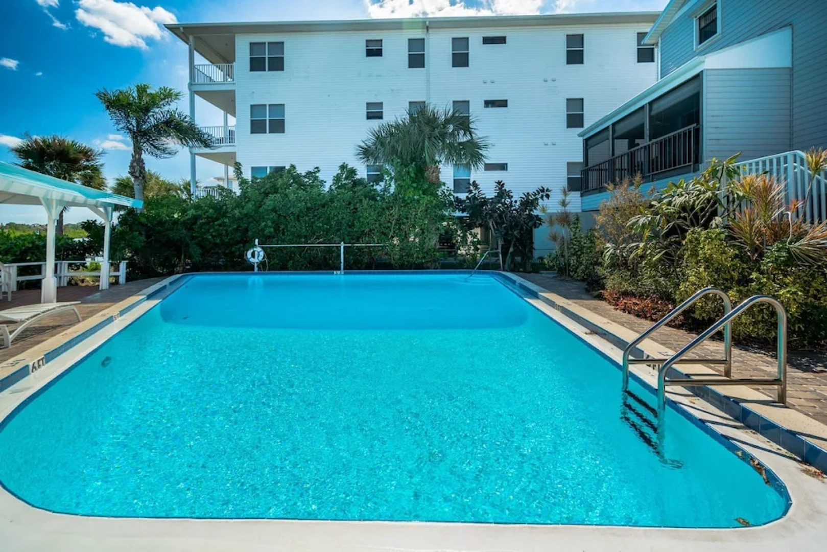 Seashell 19 by Vtrips