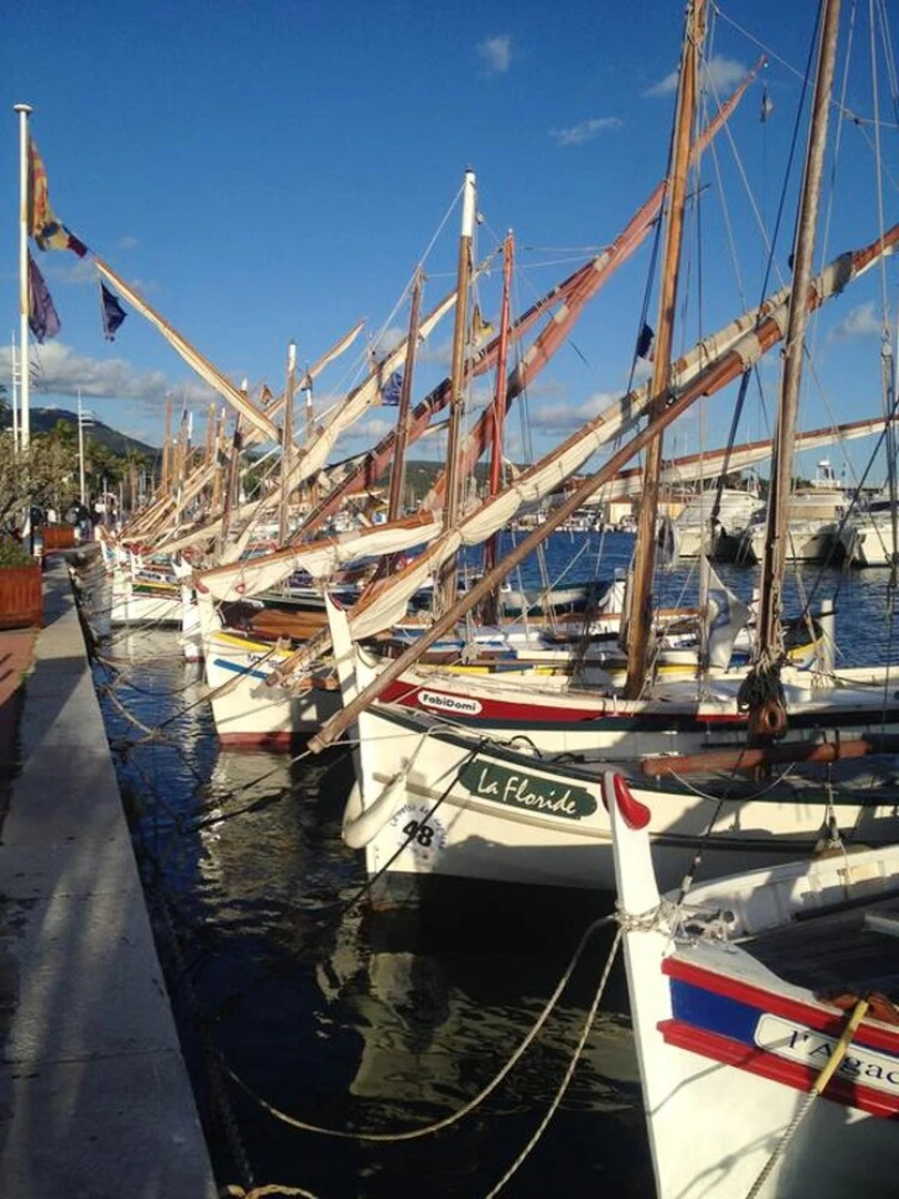 Apartment With One Bedroom In Bandol With Wonderful Sea View And Wifi