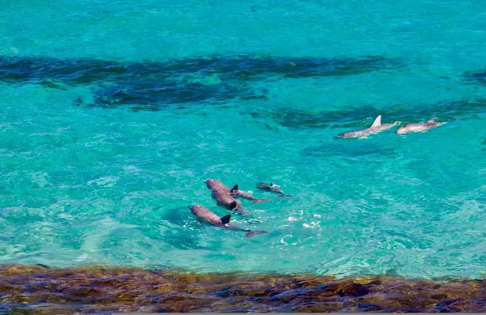 Unwind Kangaroo Island Dreaming