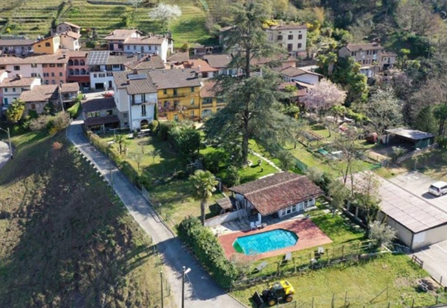 Palazzo dei Ulivi - Glyzinie