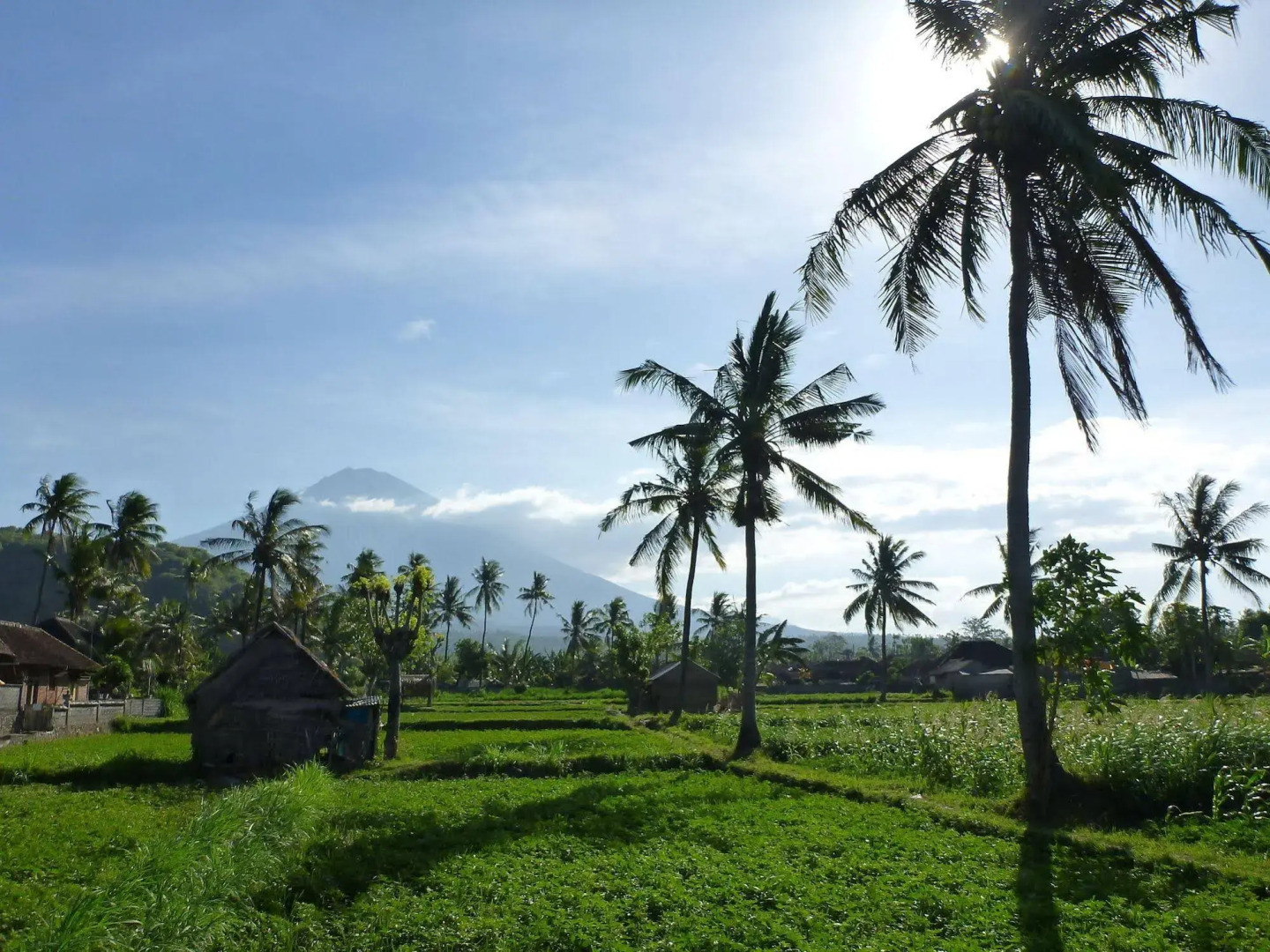 Bali Fab Dive Center - Hostel