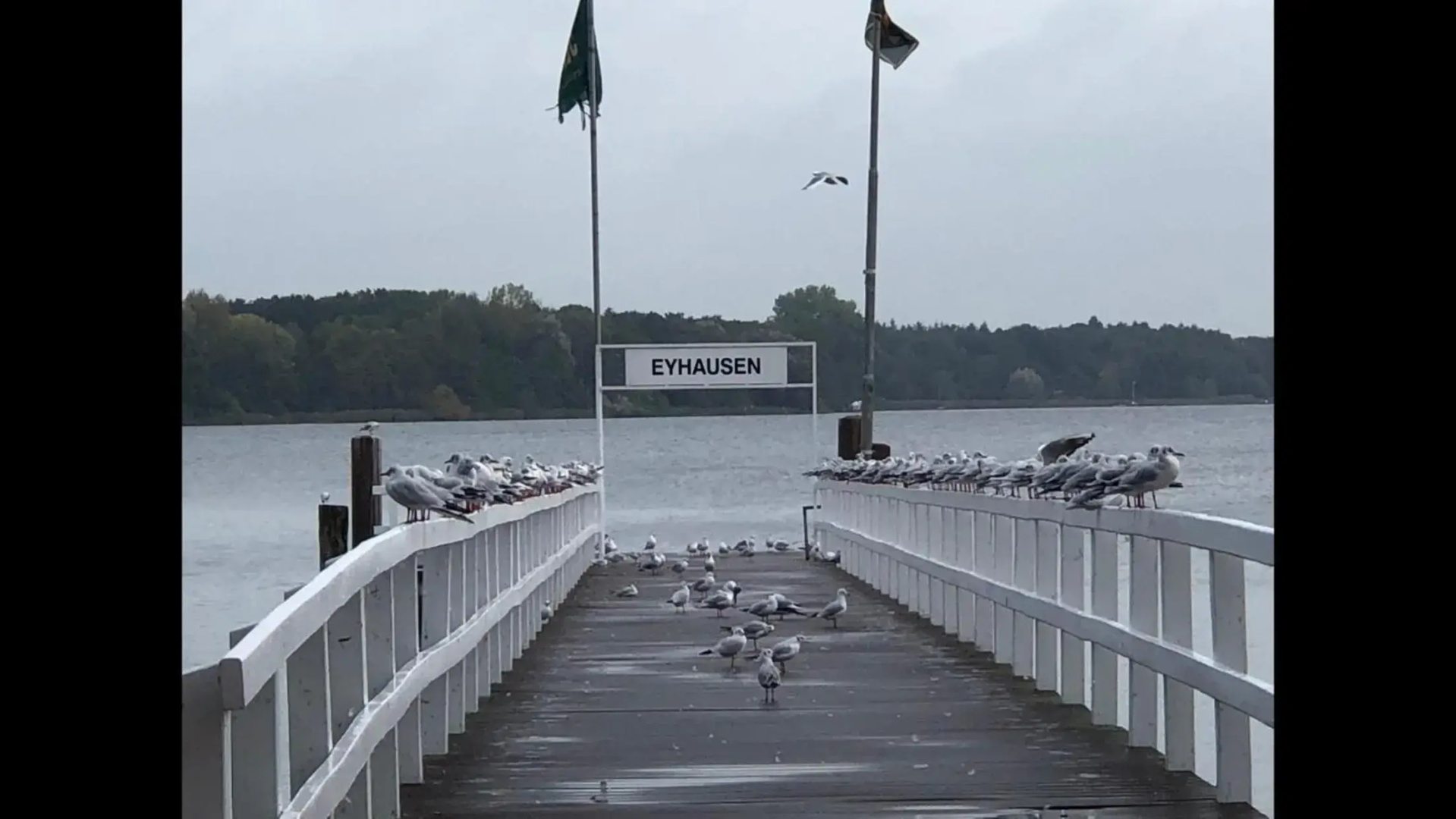 Moderne Ferienwohnung am Yachthafen Bad Zwischenahn