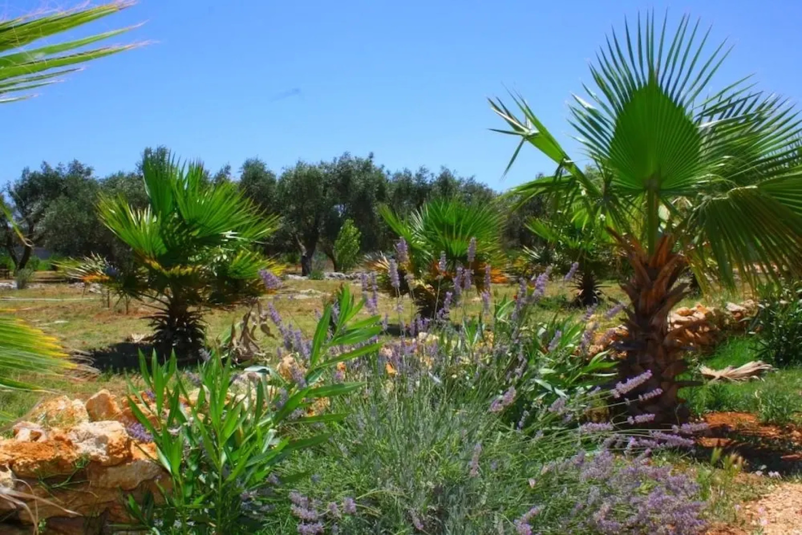 Agriturismo Casale Contenti