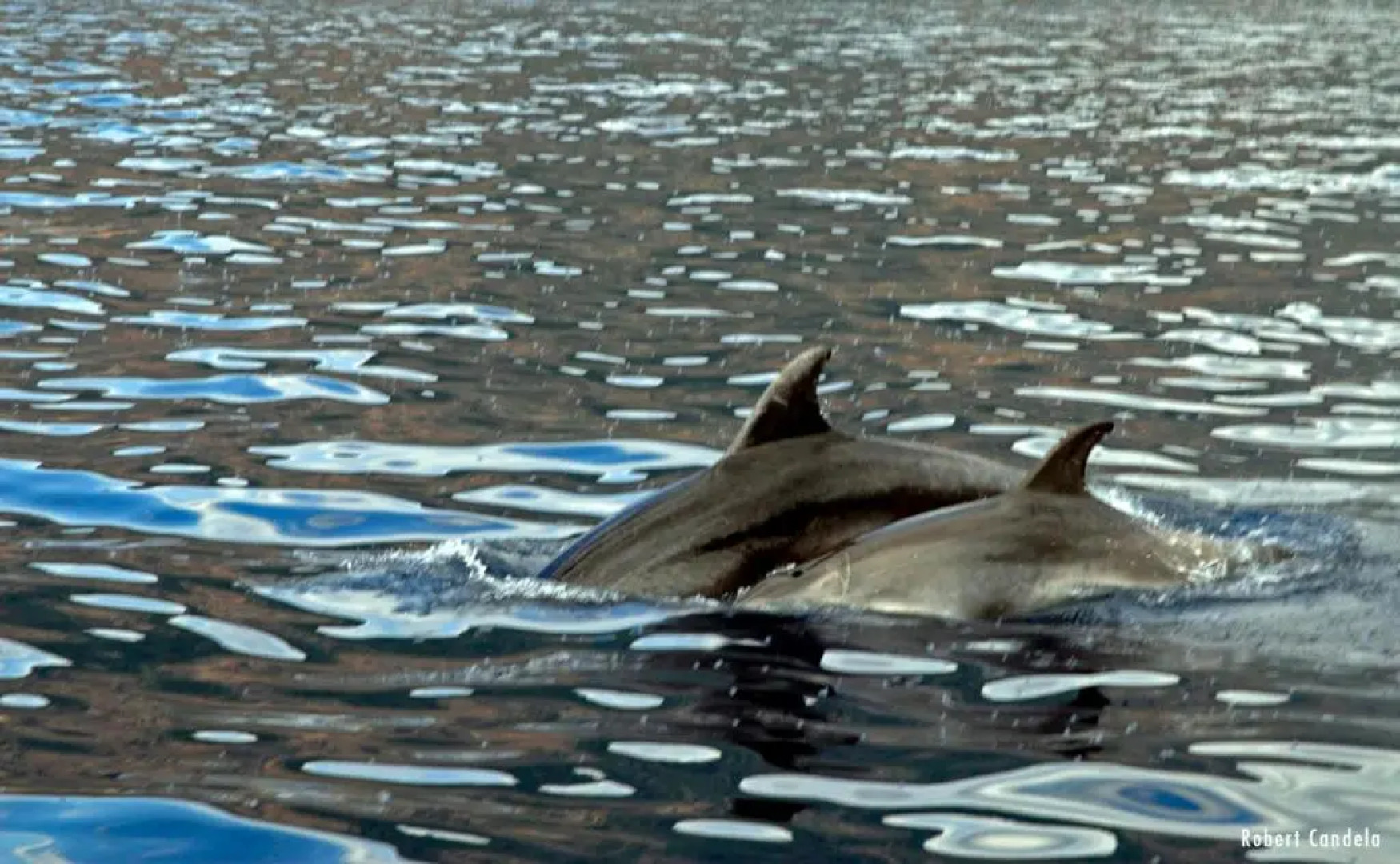 Hôtel Le Romantique