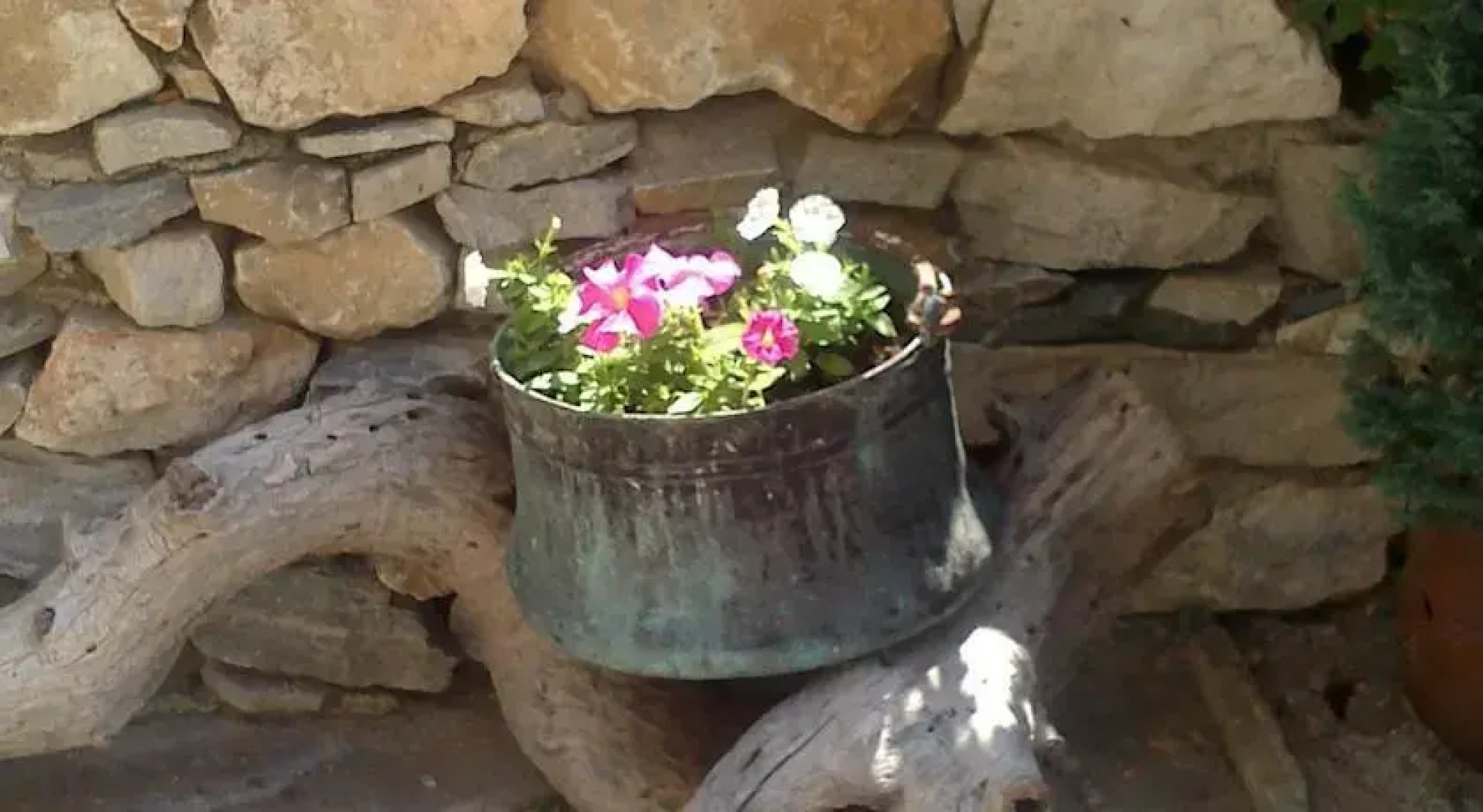 Yancheva Guest House