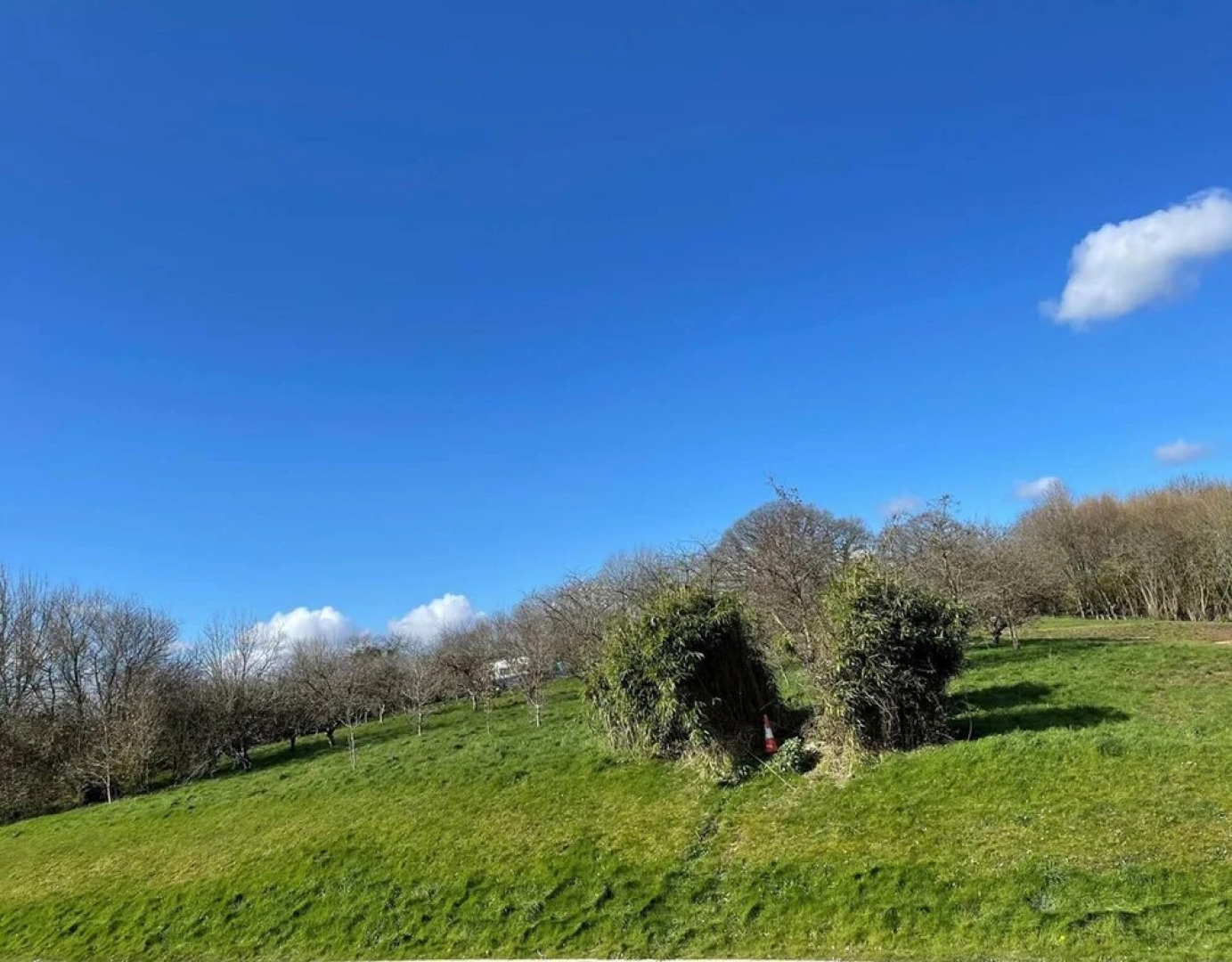Stunning Newly Modernised Luxury Cottage in Devon