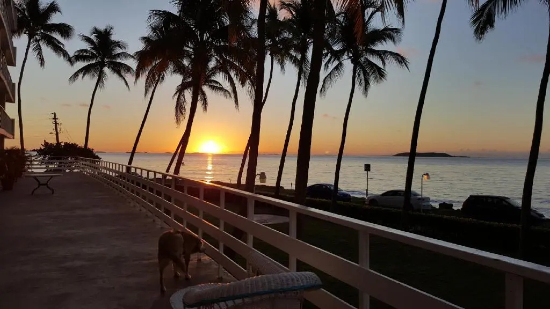 Cozy Apartment, Ocean Front