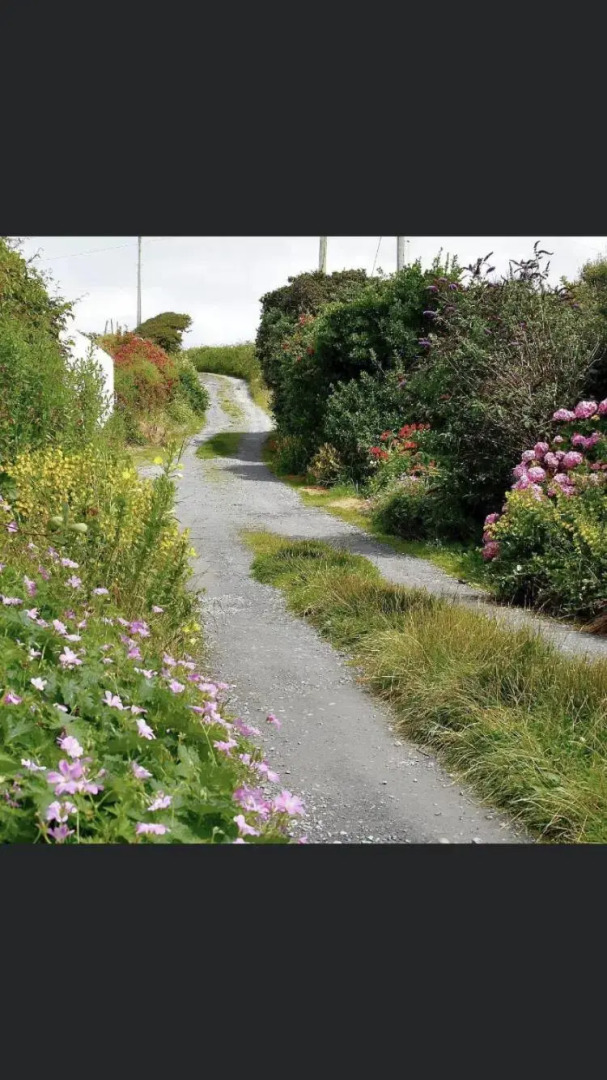 Spectacular ocean views & minutes to Cliffs- Clahane Shore Lodge