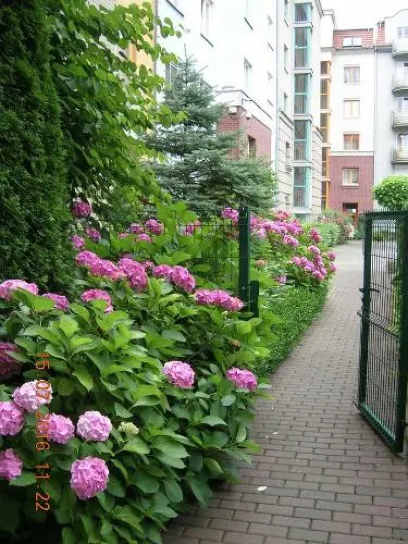 Apartamenty Staromłyńska