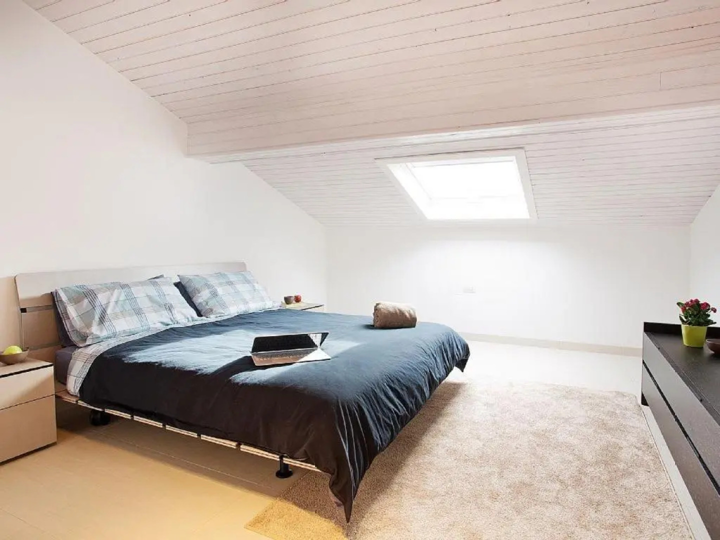 Degli Ulivi Apartment