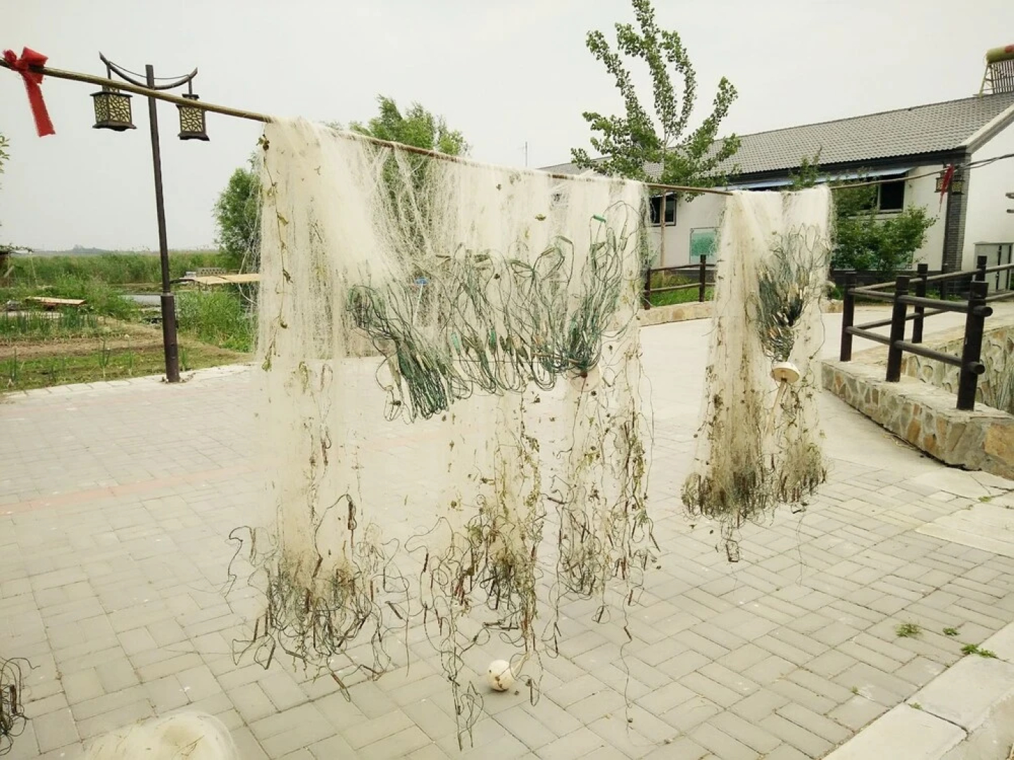 Baiyangdian Xinzhi Guesthouse