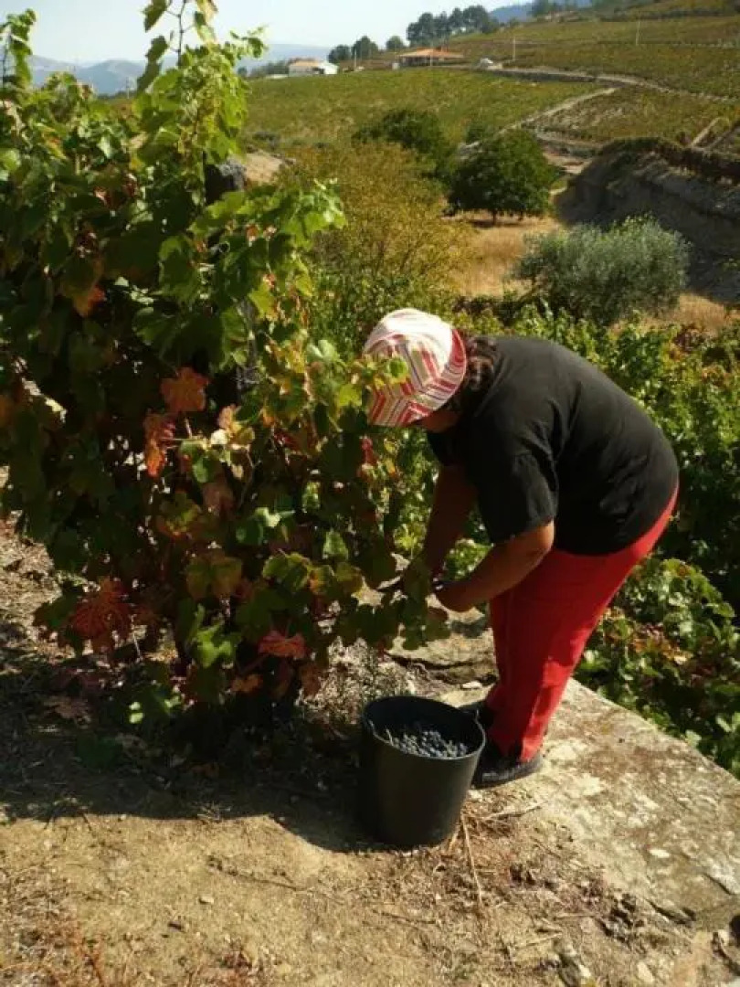 Quinta da Padrela Winery House