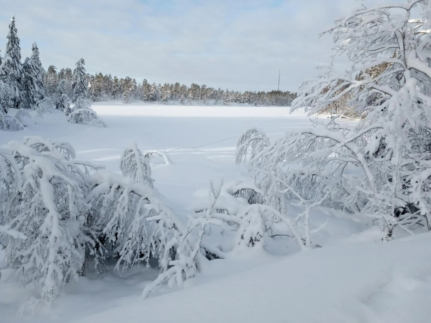 Bed and Breakfast Hadeland