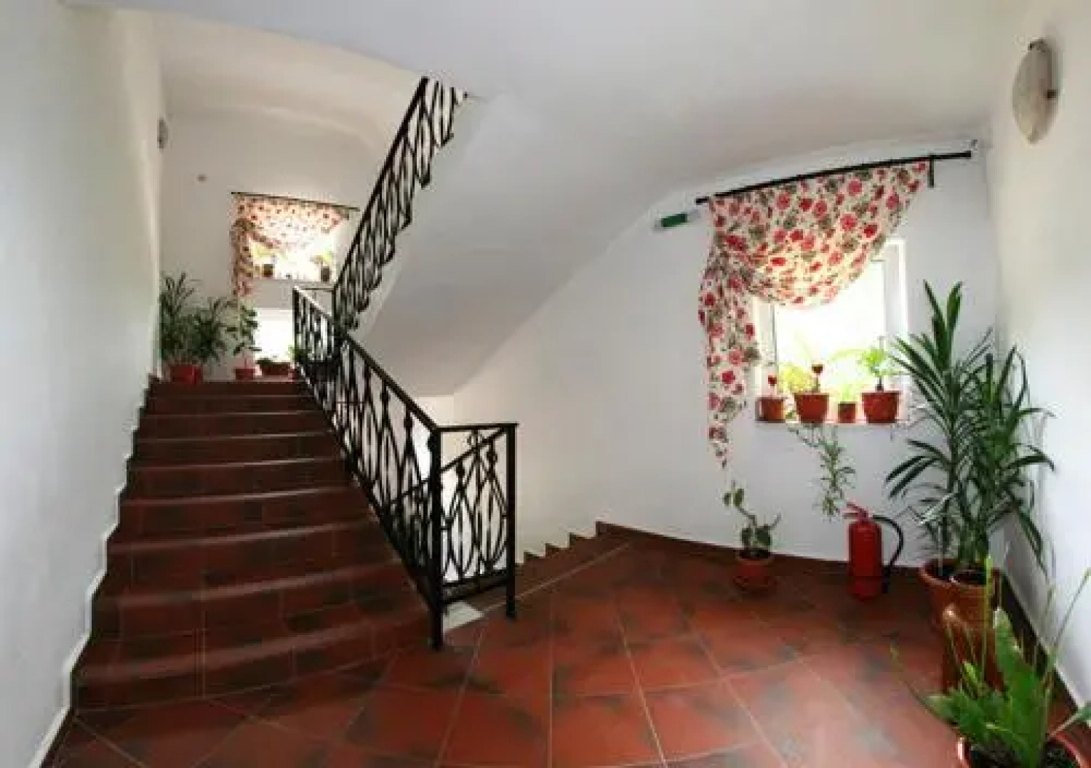 Vila Cerbul Albastru