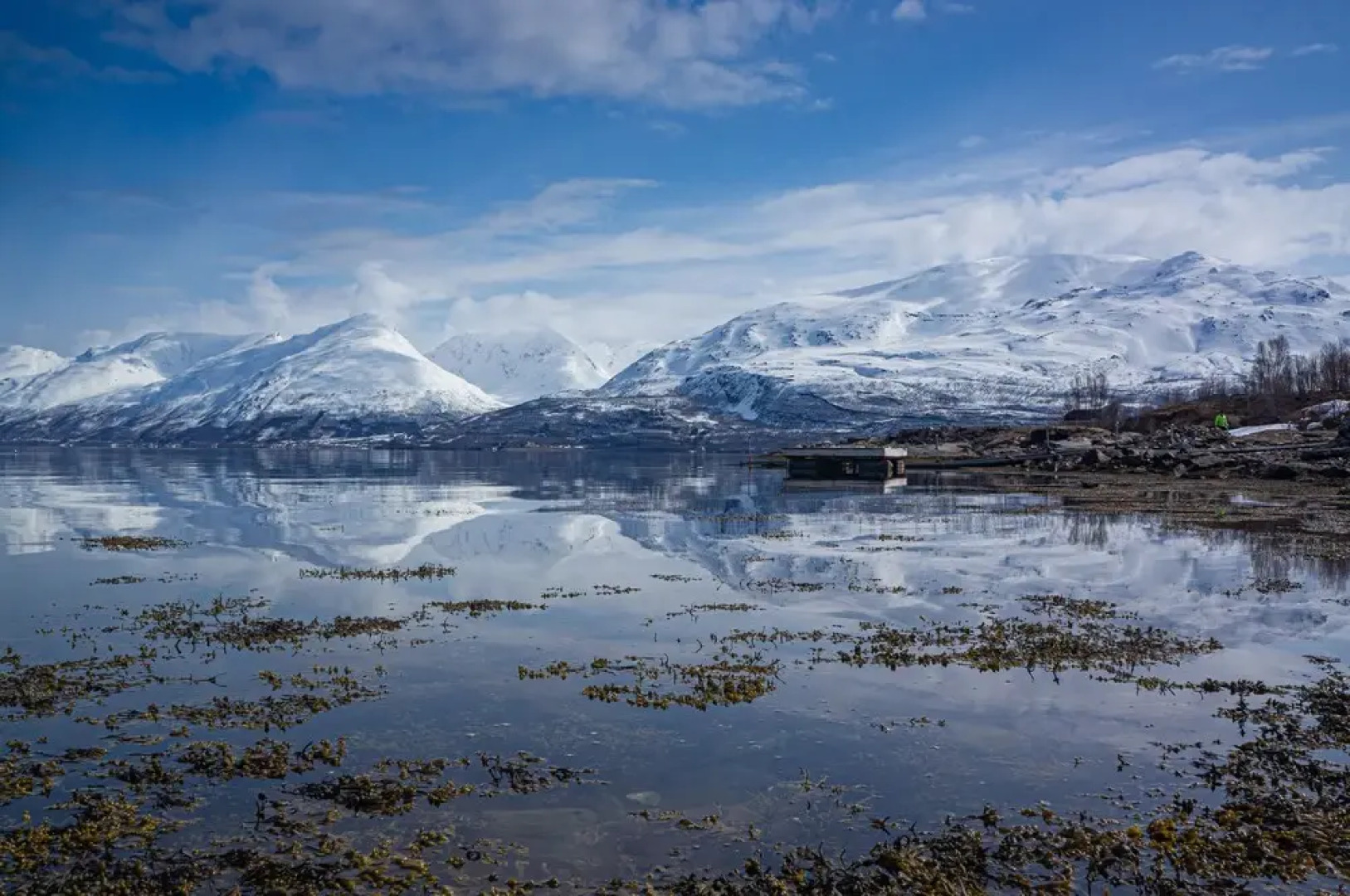 Aurora Fjord Cabins