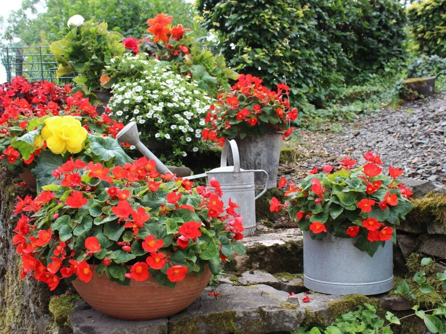 Peaceful Apartment in Plütscheid Eifel near Forest