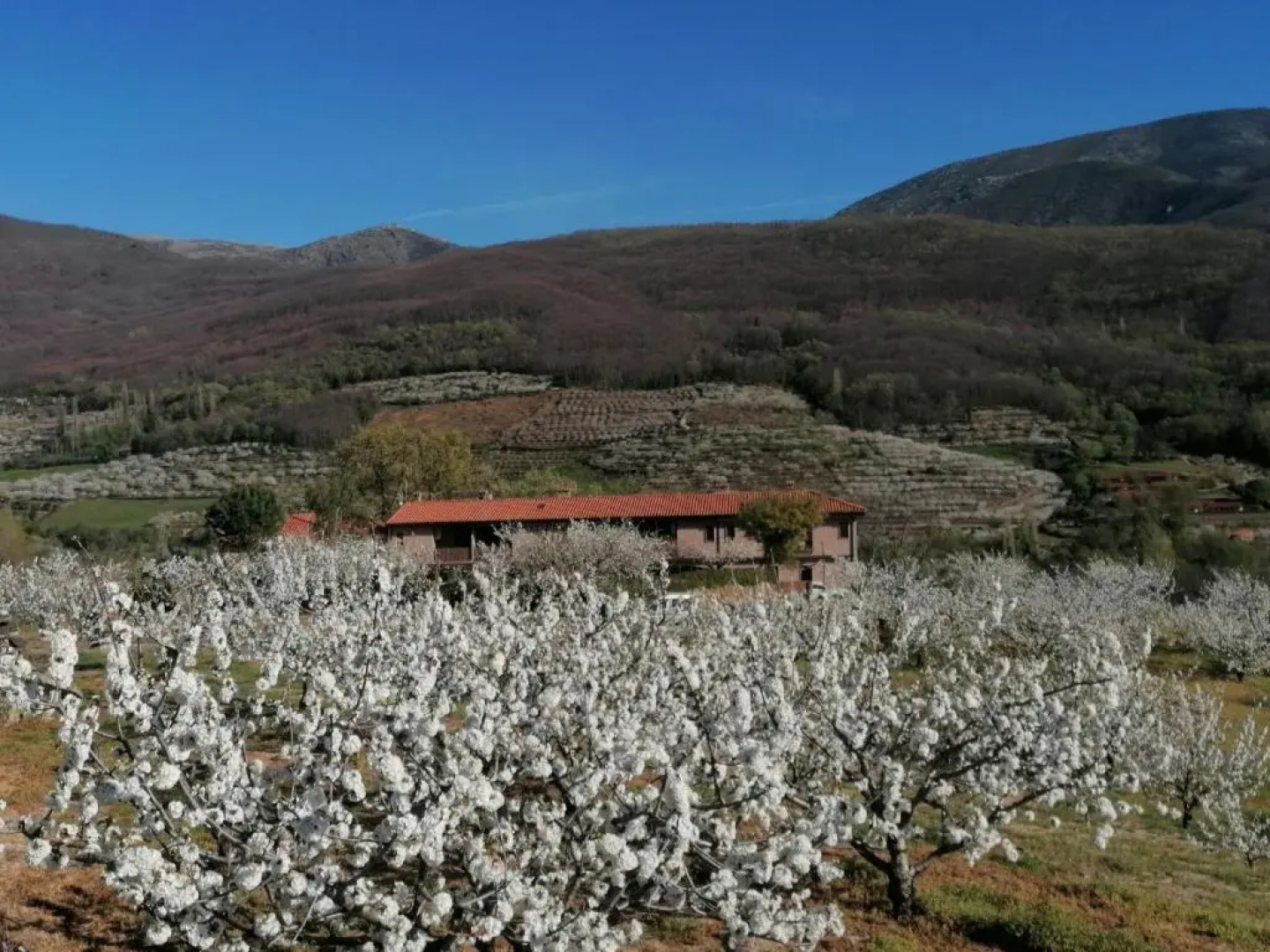 Complejo Rural Las Palomas