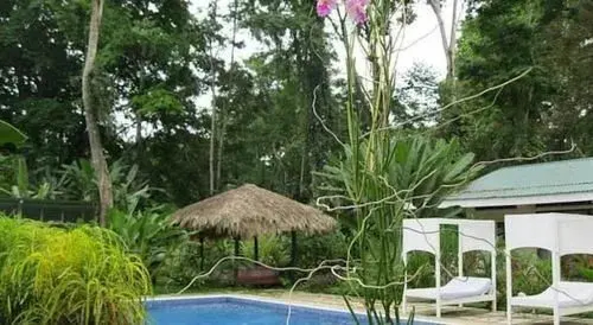 VIP Hotel Playa Negra