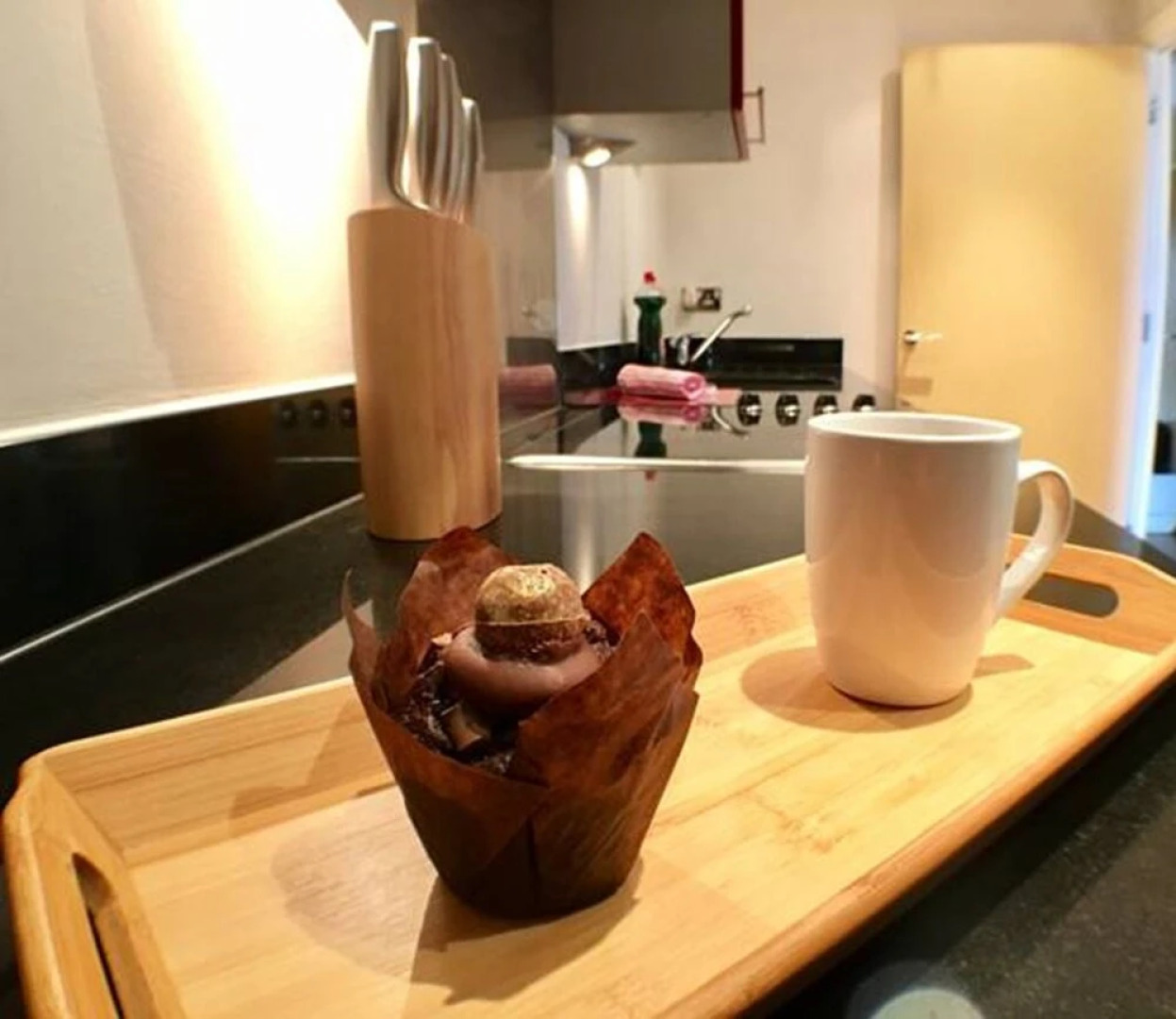 Luxurious Providence Apartment