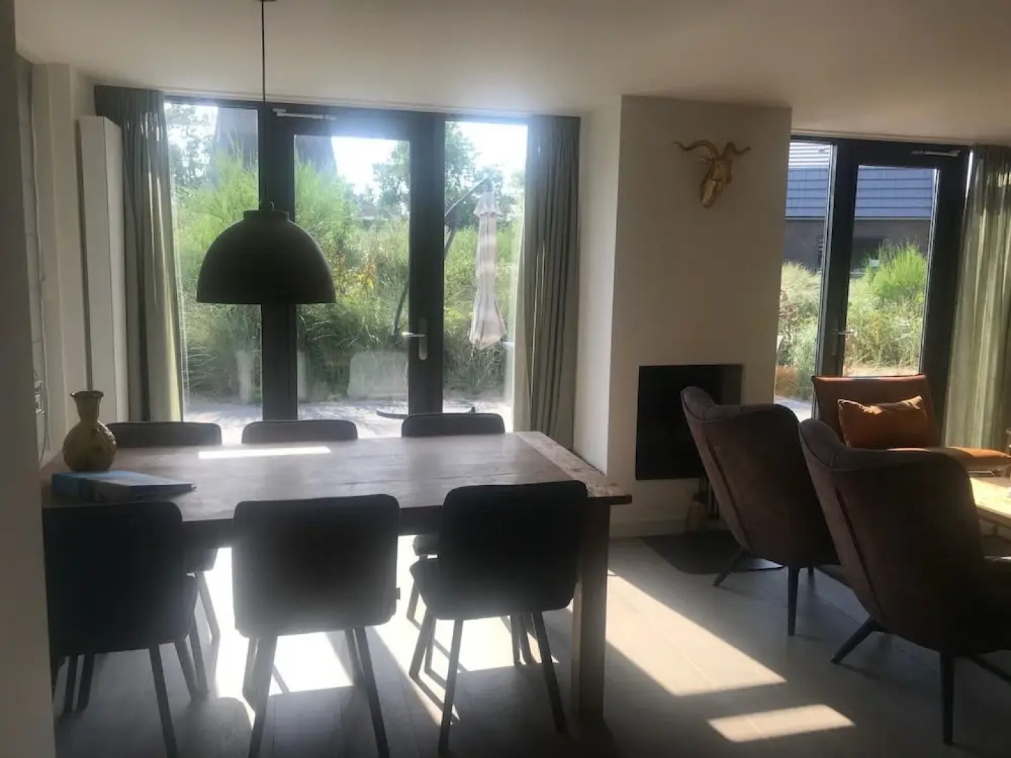 Reiger aan Zee Egmond