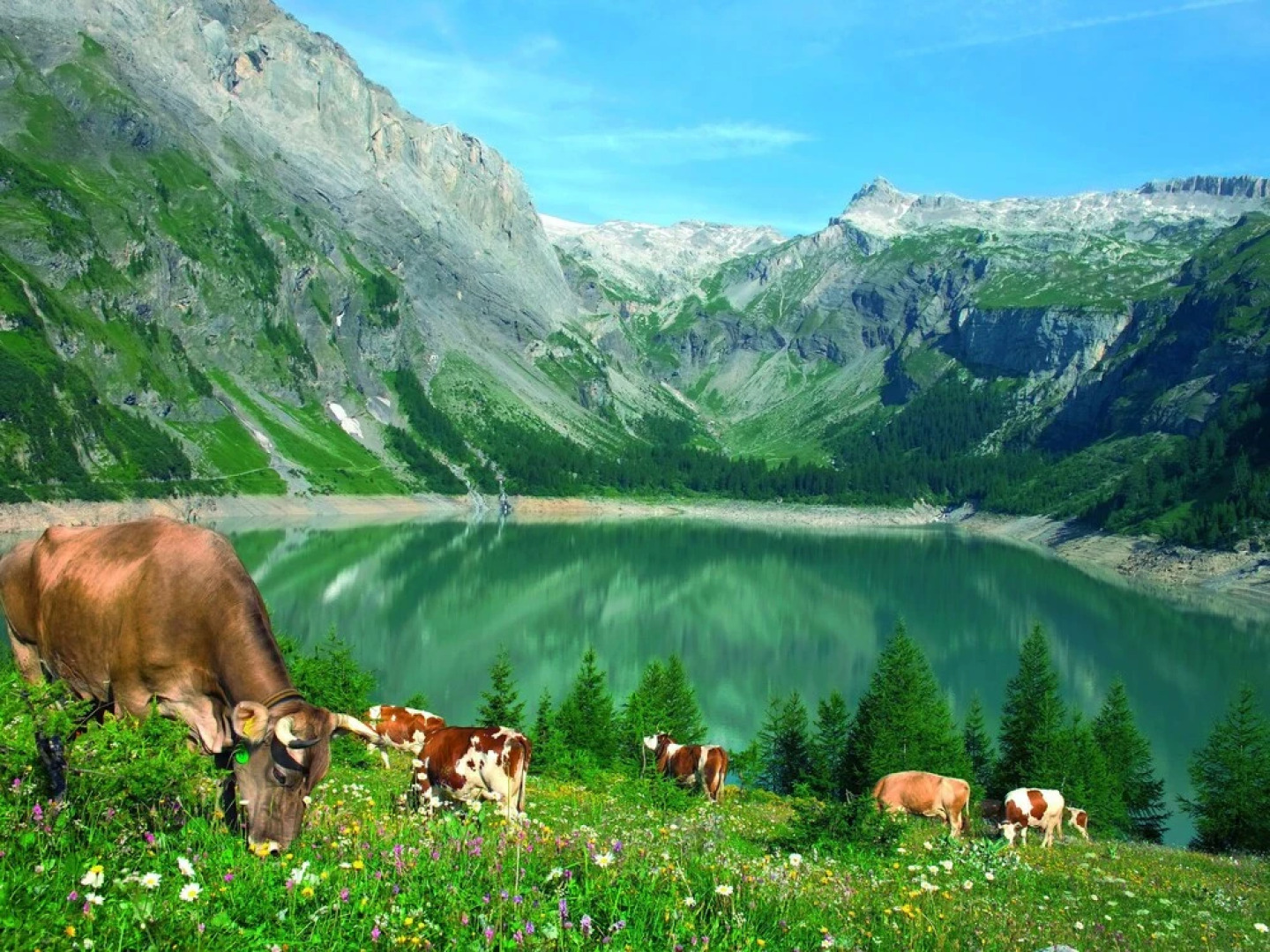 Saas Almagell - With Three and Four Thousand Metre Peaks in the Background