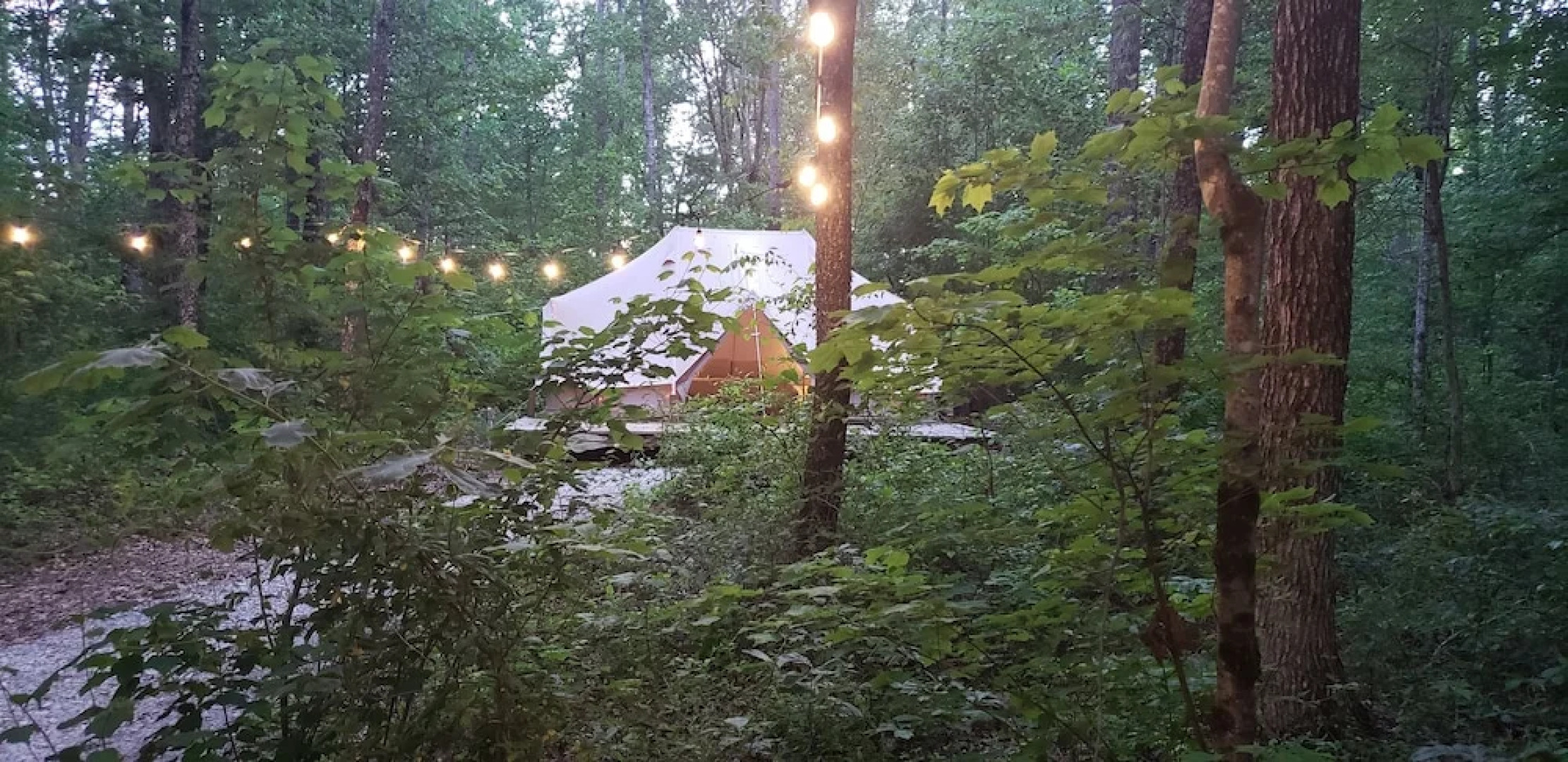 Sassy Springs Retreat