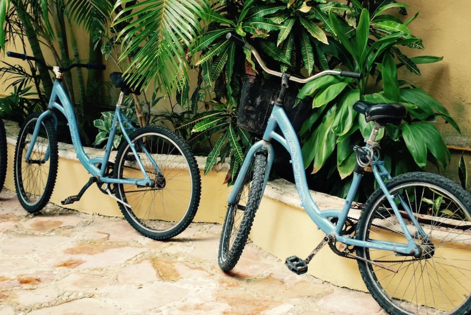 La Buena Vida Suites - Adults Only