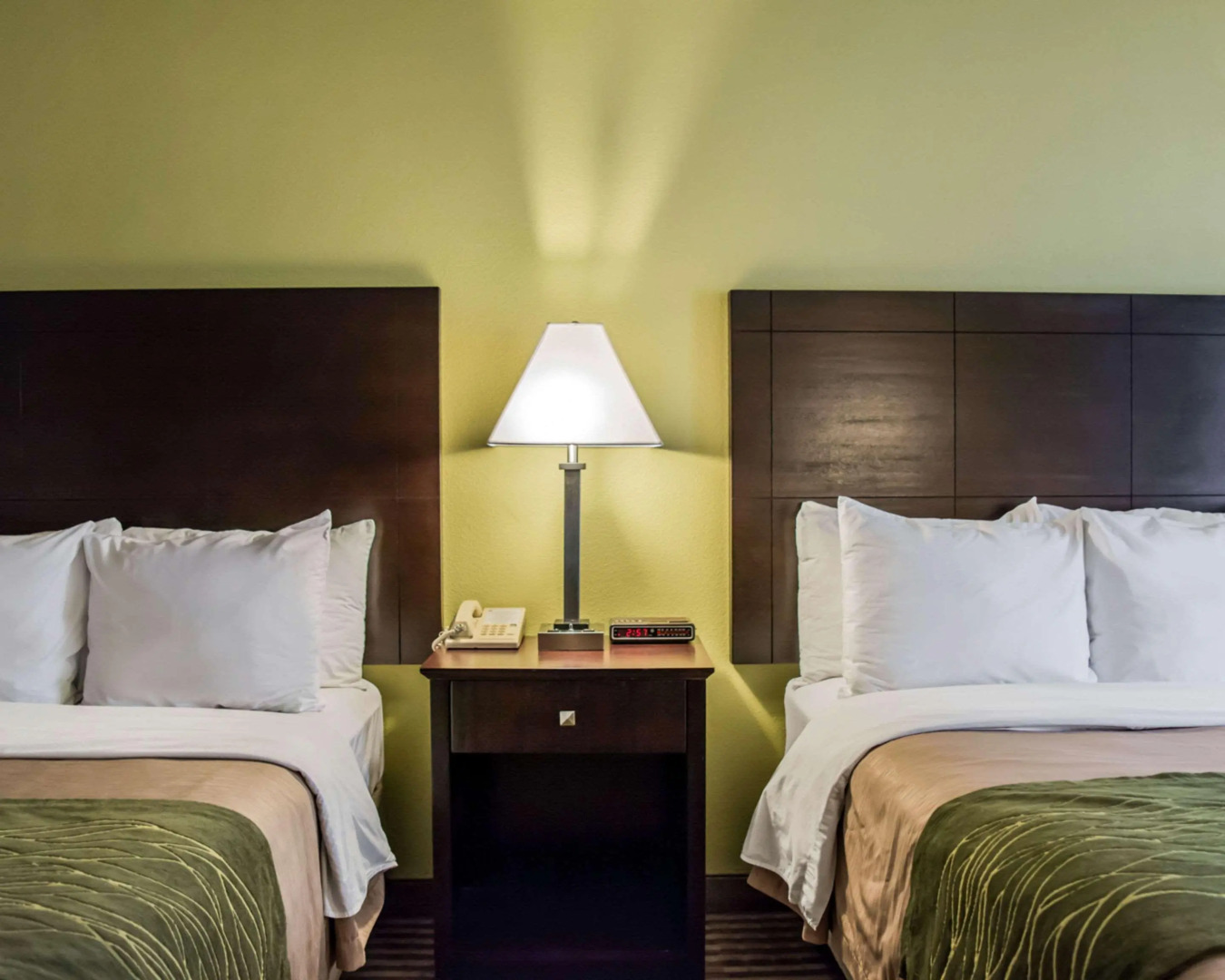 Comfort Inn & Suites St. Pete - Clearwater International Airport