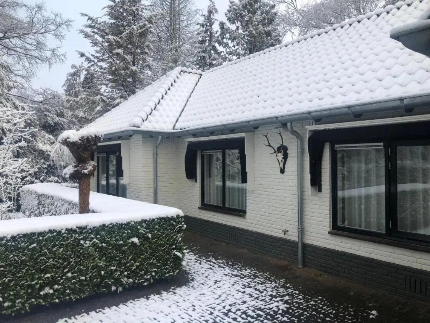 Modern Palace B&B Emma Staete