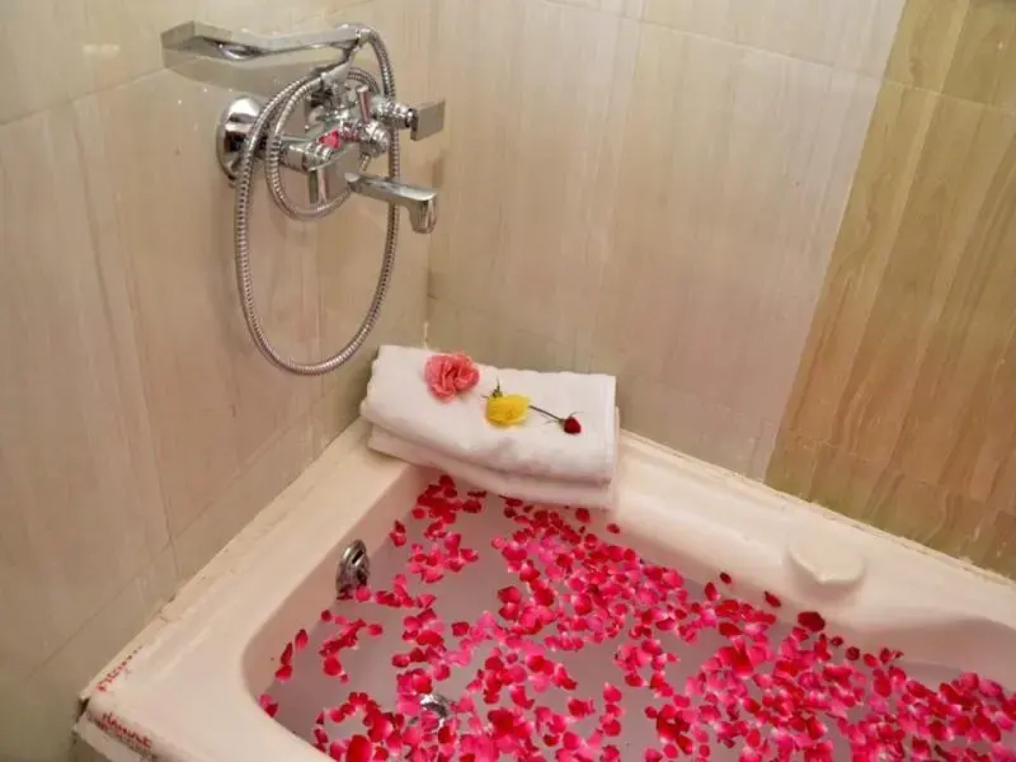 Myo Grand Ranthambore