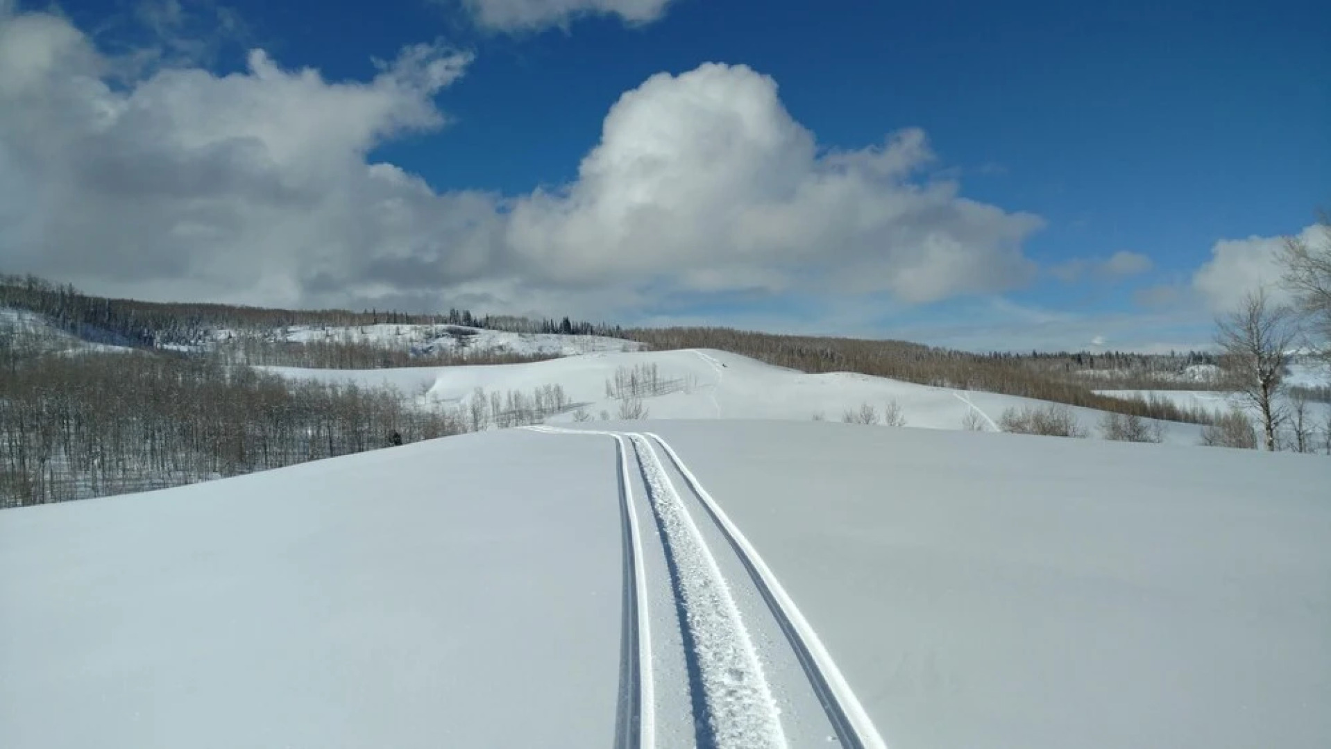 The Cabins at Historic Columbine