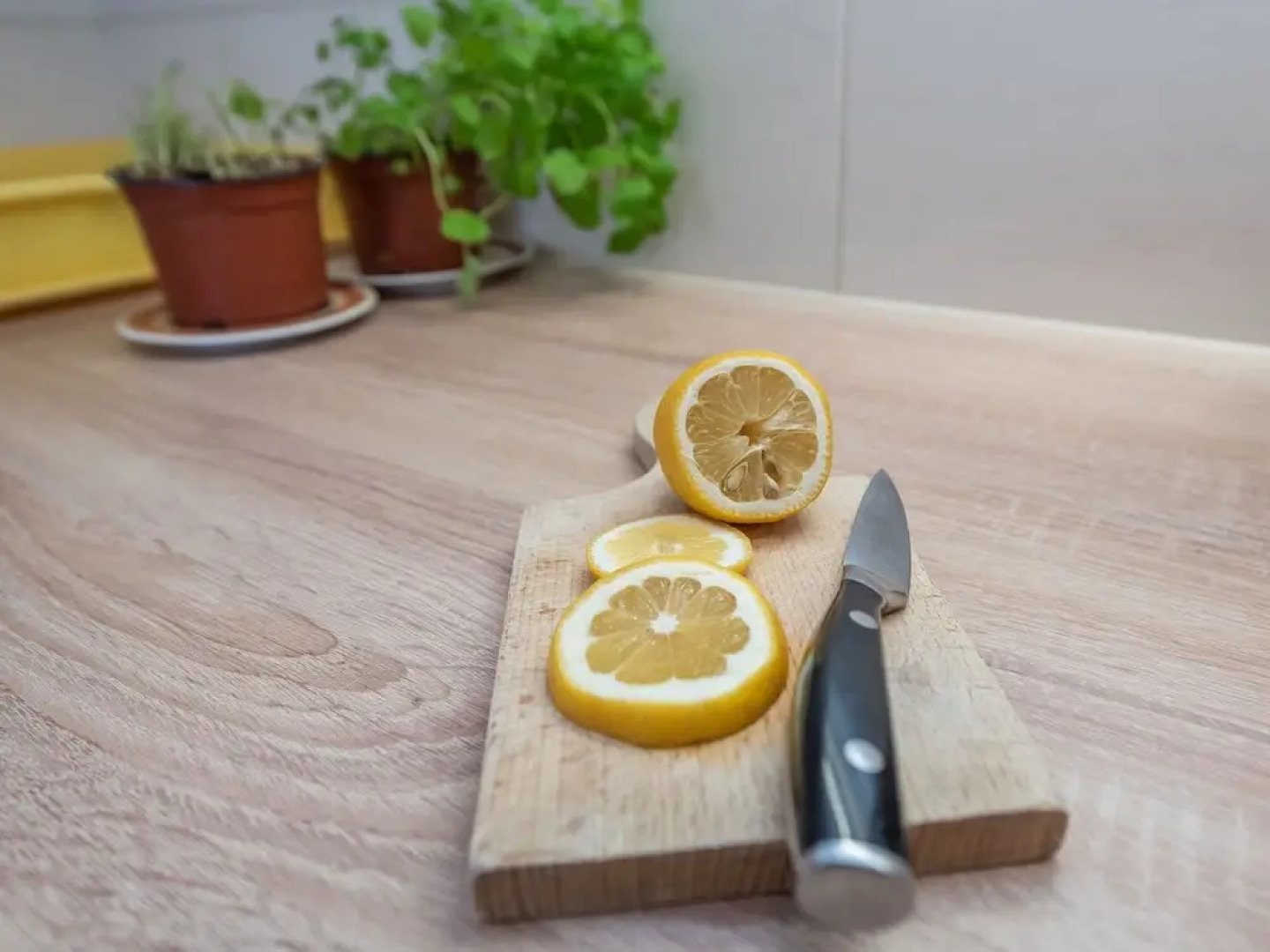 Milka Pridraga in Pridraga