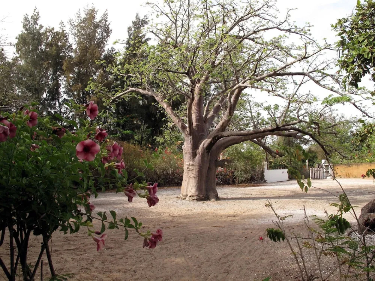 Hôtel Atlantic Abéné