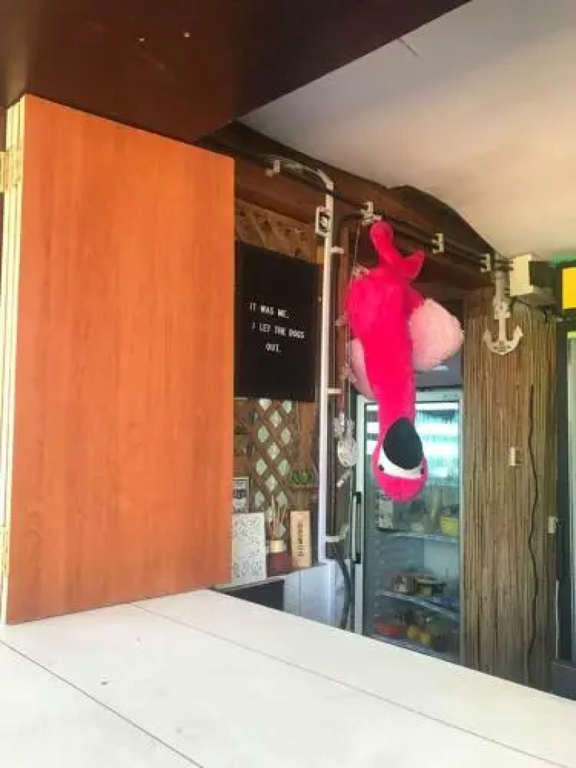 Flamingo Hostel Costinesti