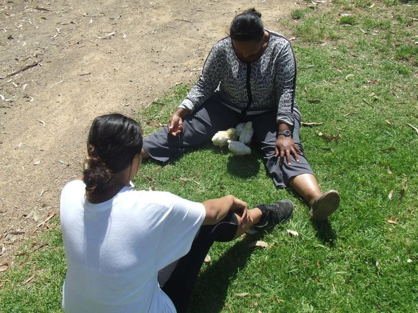 Kiah Country Gardens B&B